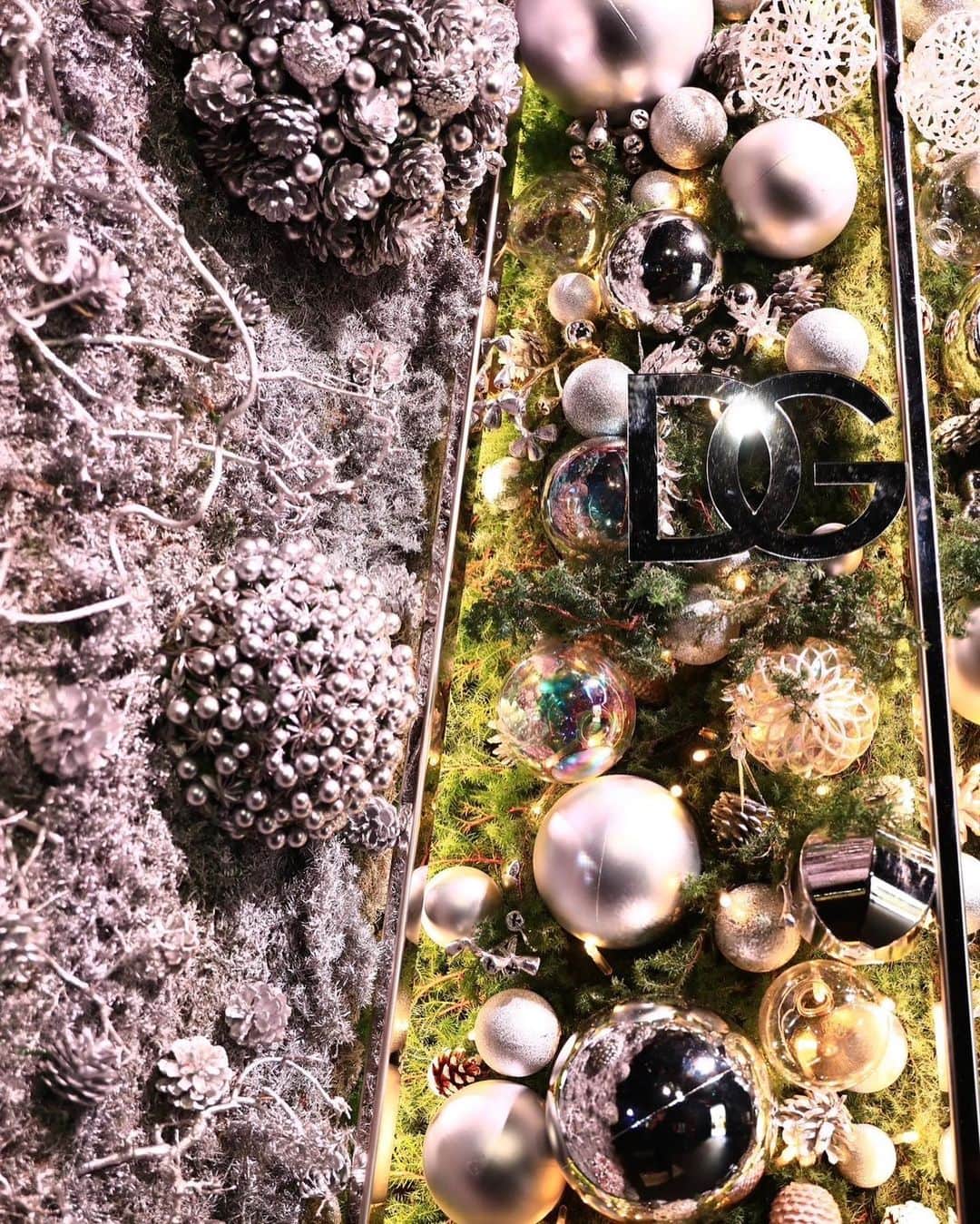 池田陸人さんのインスタグラム写真 - (池田陸人Instagram)「DOLCE&GABBANA HOLIDAY 2023 Private Party  12月25日(月)までドルチェ＆ガッバーナ 青山で、フラワーアーティスト、ニコライ・バーグマンによる高さ約4メートルのオリジナルクリスマスツリーが展示されています。  圧倒的な輝き放っていて一足先にクリスマスの雰囲気を感じれました❄️💎音楽やファッション、どれも楽しめて素敵な夜でした😆  是非足を運んでみてください。  #DolceGabbana #DGHolidays #ドルチェガッバーナ #DGホリデー」11月27日 22時14分 - rikuto__1231