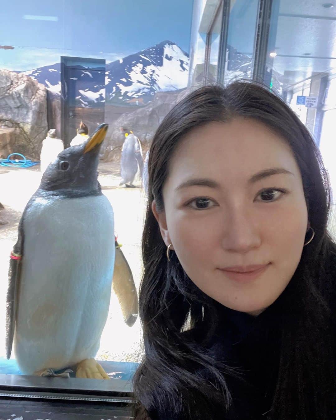 田中彩子のインスタグラム：「Penguins in Nagasaki, everyone looks very comfortable 🐧 コンサート翌日は長崎ペンギン水族館に連れて行ってもらえました。 海がとても気持ちよかったです。ペンギン可愛かったです。 ウツボも可愛かったです。 @kawadakentaro  @chikayo.kubota   #田中彩子リサイタルツアー2023  #田中彩子ソプラノリサイタル2023  #川田健太郎 #田中彩子」