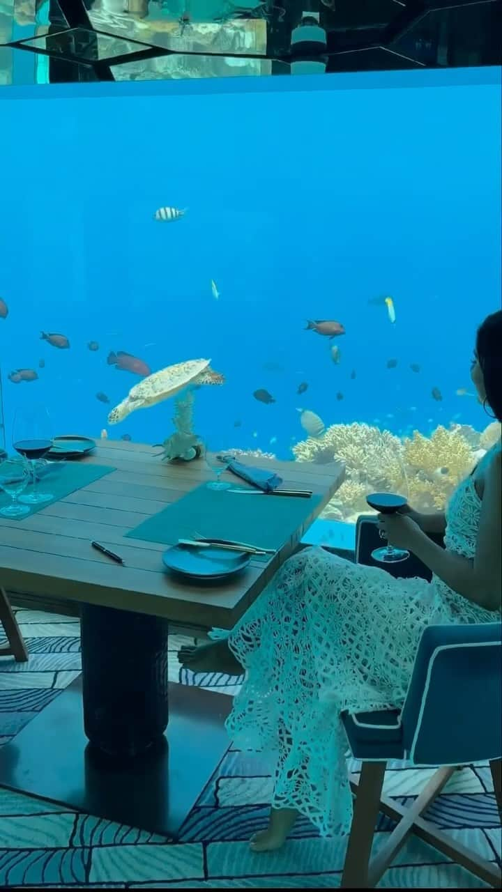 Maldivesのインスタグラム：「Experience an unforgettable dining adventure at SEA, Anantara Kihavah’s underwater wine cellar and restaurant. Book now to unlock exclusive deals. For more information and bookings, contact us at @nichegetaways   Video @missangievilla   #luxurydining #underwaterexperience #maldivesgetaway #finedining #exclusivedeals #anantarakihavah #winecellardining #travelinstyle #gastronomyjourney #islandretreat #luxuryresort #anantarakihavah #bucketlistdining #luxurytravel #underwaterdinning」