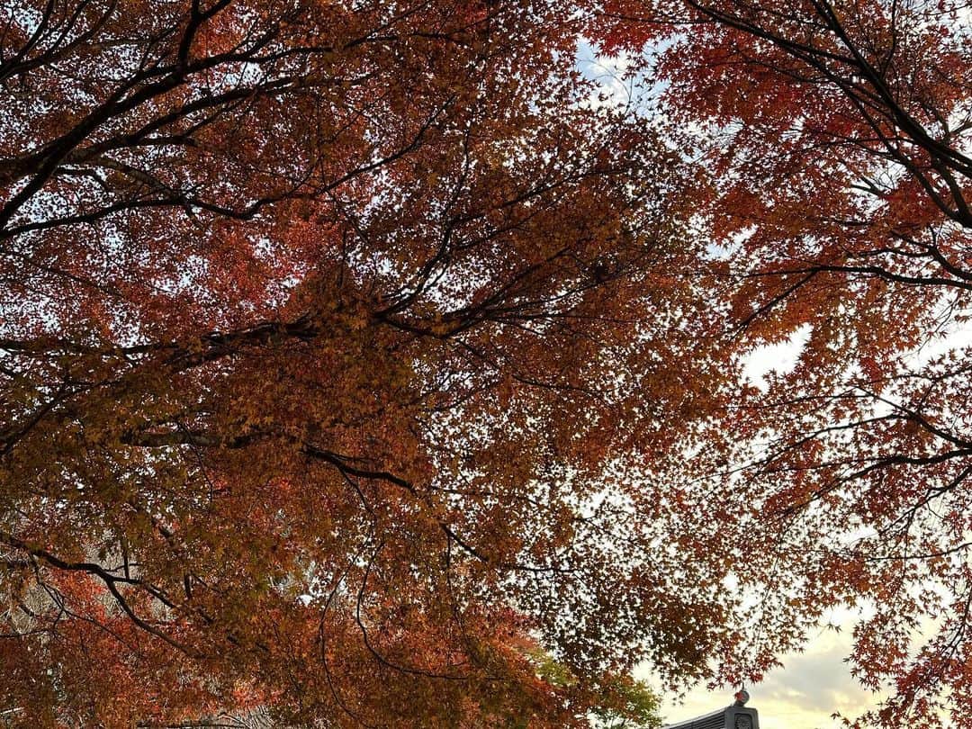 yu-yu.（友癒）さんのインスタグラム写真 - (yu-yu.（友癒）Instagram)「. すっかり寒くなりましたね🍁 皆さんで #比良山荘 へ行かせていただきました✨」11月27日 22時29分 - ____yu_yu____