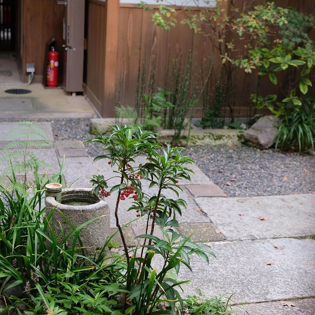 空木マイカさんのインスタグラム写真 - (空木マイカInstagram)「２日目は町屋を改装した宿に泊まった。 一日だけ今日はここが私たちの家。  中庭を抜けると小料理屋さんや おしゃれな飲み屋さんが並んでて 大人だけで泊まるならこういうところで 食べられていいなぁと思った。  翌朝、お庭は鍵がかかってて入れなかったのは 残念だったけど、窓からの景色は素敵だった。  夏休みにイギリスから日本に来てた友人が こういう宿に泊まってて息子が 「同じとこに泊まりたい」と言ったのがきっかけでチョイス。 同じ宿は空いてなくて、違う場所のに泊まったのだけど。  一日だけ違う人生を味わえるって旅の醍醐味ね。」11月27日 22時30分 - maika_utsugi