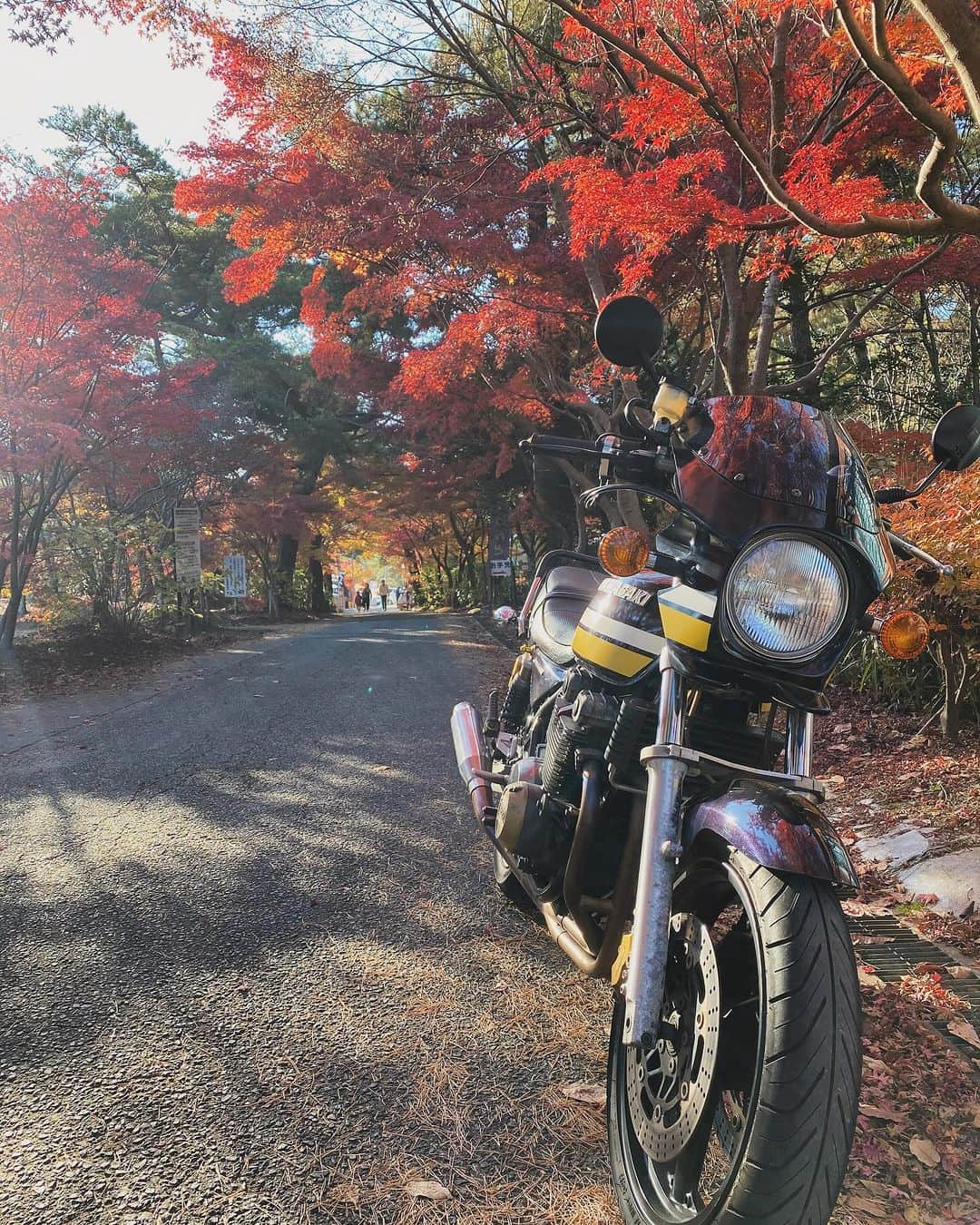 黒川忠文のインスタグラム：「生駒市くろんど池 綺麗な紅葉でした🍁  #ゼファー400」