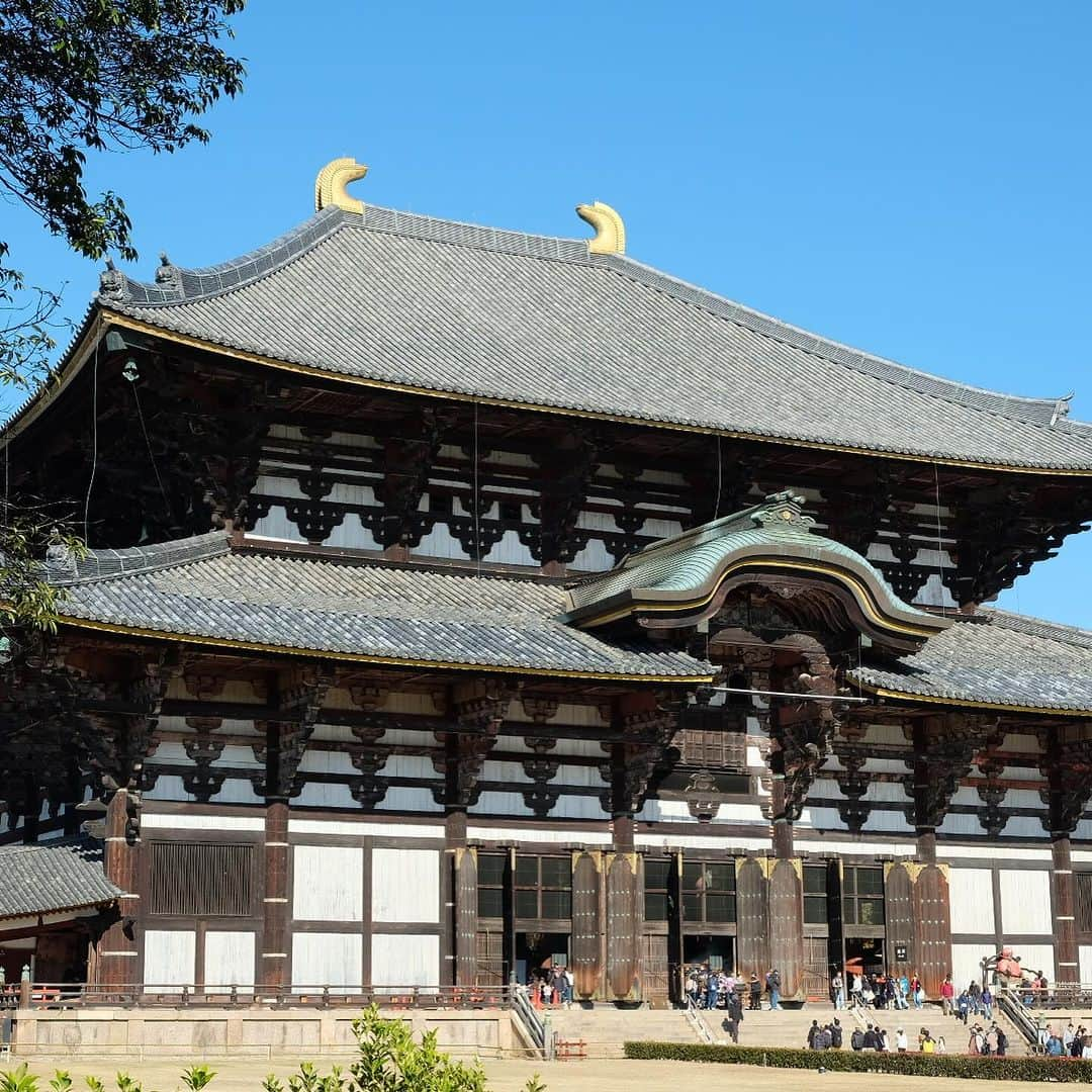 空木マイカさんのインスタグラム写真 - (空木マイカInstagram)「最後は奈良へ。 #todaiji  #koufukuji   大仏の鼻の穴くぐりは 小6、大学3年とやって40歳で3回目。 もう絶対入らないわと直前でびびってやめたら それを見ていたおばあさんに 「あなた、私なんて3回通ったわよ。 あなたなら絶対通れるから大丈夫。 もう一回行ってらっしゃい」と言われ（笑） 再度並び直しリベンジ成功。  ありがとう、おばあさん。  後で子どもらに 「あのおばあさんのがママより細かったけどね」 と言われたけど（笑）  そのあとの男性たちも通れてる姿を見て あれは体型よりも体の使い方のが 重要なのではと思えてきた。  興福寺に行き、柿の葉寿司を食べて 旅は完。  息子が小学校を卒業するまであと2年ちょっと こんな旅にいっぱい出ようと思った。 そのためにはいっぱい仕事もしないとね！」11月27日 22時40分 - maika_utsugi