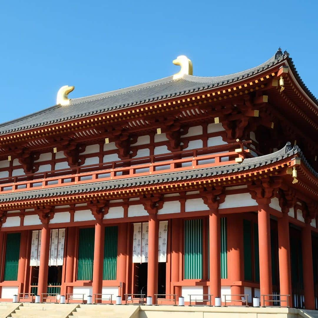 空木マイカさんのインスタグラム写真 - (空木マイカInstagram)「最後は奈良へ。 #todaiji  #koufukuji   大仏の鼻の穴くぐりは 小6、大学3年とやって40歳で3回目。 もう絶対入らないわと直前でびびってやめたら それを見ていたおばあさんに 「あなた、私なんて3回通ったわよ。 あなたなら絶対通れるから大丈夫。 もう一回行ってらっしゃい」と言われ（笑） 再度並び直しリベンジ成功。  ありがとう、おばあさん。  後で子どもらに 「あのおばあさんのがママより細かったけどね」 と言われたけど（笑）  そのあとの男性たちも通れてる姿を見て あれは体型よりも体の使い方のが 重要なのではと思えてきた。  興福寺に行き、柿の葉寿司を食べて 旅は完。  息子が小学校を卒業するまであと2年ちょっと こんな旅にいっぱい出ようと思った。 そのためにはいっぱい仕事もしないとね！」11月27日 22時40分 - maika_utsugi