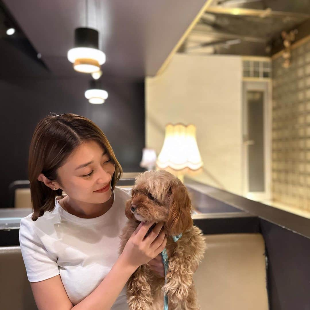 原幹恵のインスタグラム：「いちみ🐶」