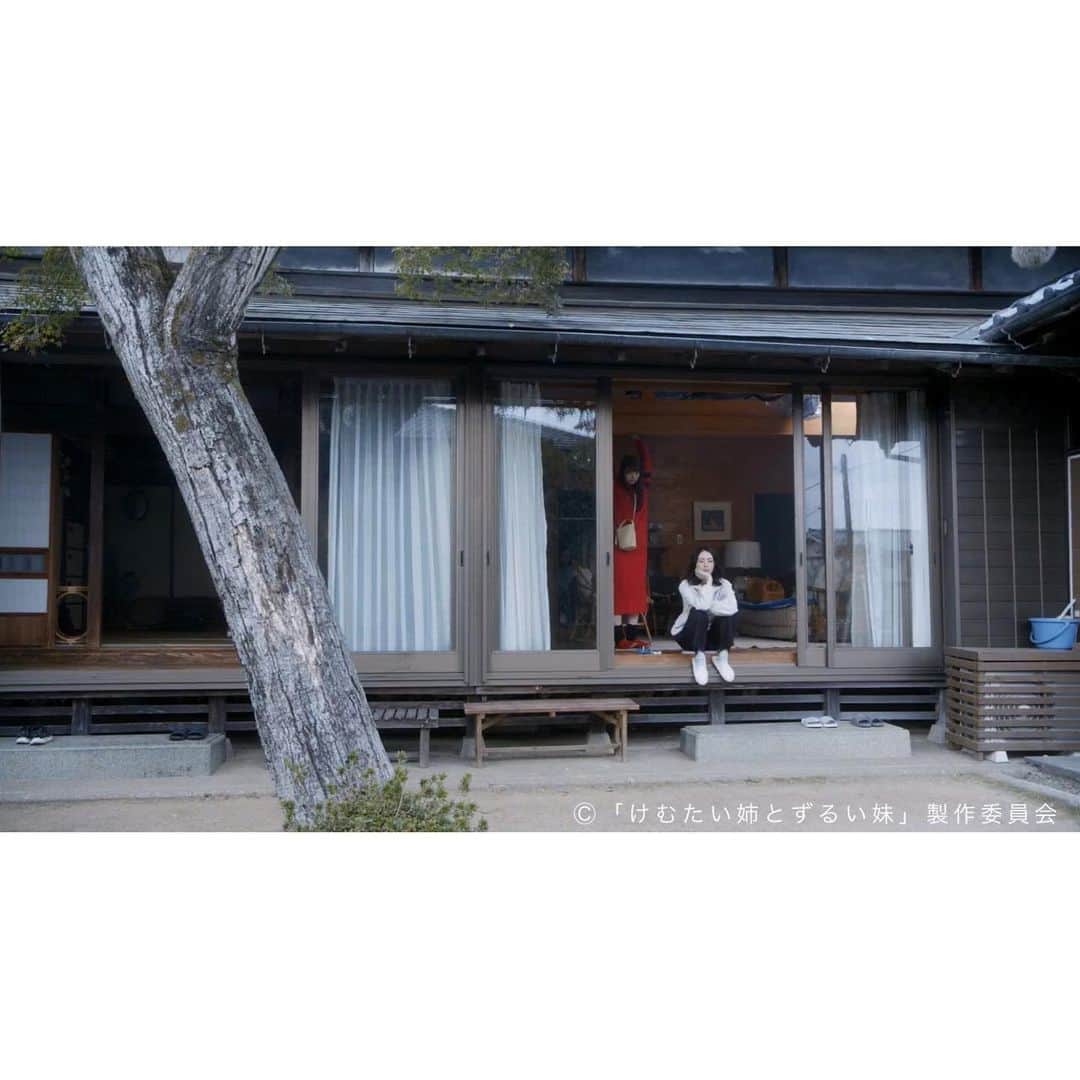 けむたい姉とずるい妹のインスタグラム：「. 7話最後のシーンから 最終話最初のシーンまで 待ち時間の姉妹🦋.｡.:* もうすぐ出番ですよー！(笑)  ／ 『#けむたい姉とずるい妹 』 最終話放送まで、あと1️⃣5️⃣分！！ ＼  7話の見逃し配信は #TVer で🎗 tver.jp/episodes/ep30cssjg1  U-NEXTなどでも配信中💠  #テレビ東京 #けむずる  #栗山千明 #馬場ふみか #栁俊太郎  #桜田通 #雛形あきこ」