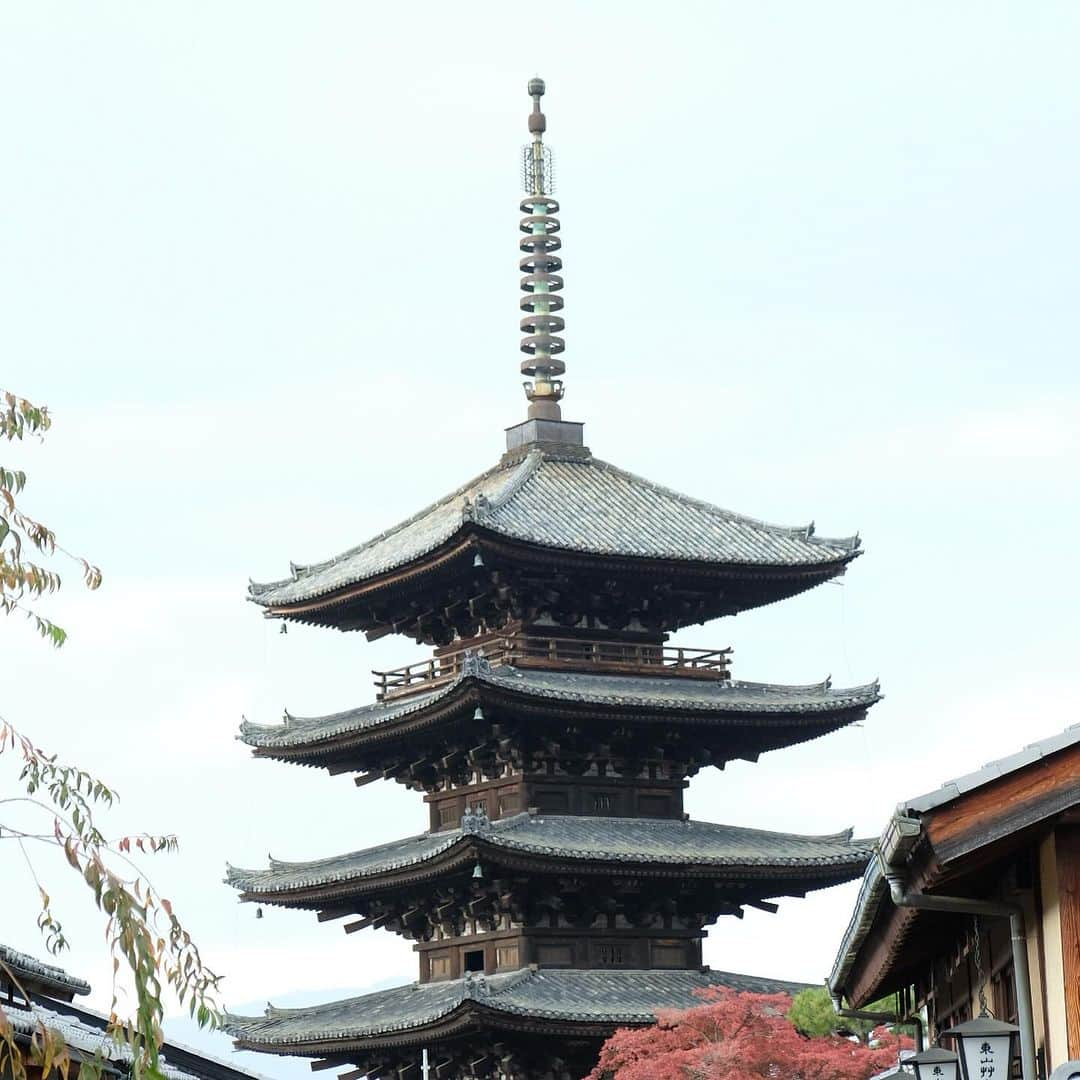 空木マイカさんのインスタグラム写真 - (空木マイカInstagram)「おまけ  実は今回の旅、社会で伝統野菜を習ったと言う息子が 「京都に京野菜の鹿ヶ谷かぼちゃを買いに行きたい！ あと清水寺も行きたい！」 と言い出したのがきっかけ。  鹿ヶ谷かぼちゃは八百屋さんまわったけど見つからず 結局、かぼちゃの漬物を買い、 最後に駅で伊勢丹の地下に行って店員さんに話したら 「それやったらこれがええよ！」とおすすめされた 聖護院かぶらを買ってきた。  今夜は「京都で買った」聖護院かぶらと鶏肉の煮物。  「ボーリングの玉みたい」と 嬉しそうにカブを抱える息子の顔が忘れられない。  どんな会話をして、どんな経験を経て 手にするかでそのものの価値は決まるんだなぁ。 聖護院かぶら、ふわっふわで美味しかったね！」11月27日 22時53分 - maika_utsugi