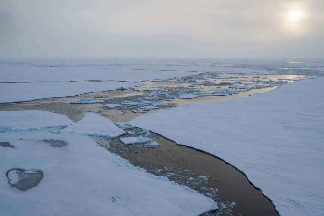 ナショナルジオグラフィックさんのインスタグラム写真 - (ナショナルジオグラフィックInstagram)「Photos by @estherhorvath | During an Arctic expedition, a helicopter completes a flyover to measure sea ice thickness with an instrument towed underneath. The EM-Bird, as it's called, was built for this expedition by Jan Rohde (first photo), an engineer at the Alfred Wegener Institute. A time-lapse series of sea ice thickness in the Fram Strait and the central Arctic Ocean shows a decrease of 25% over the last 20 years. Follow @estherhorvath more polar science stories.」11月27日 23時00分 - natgeo