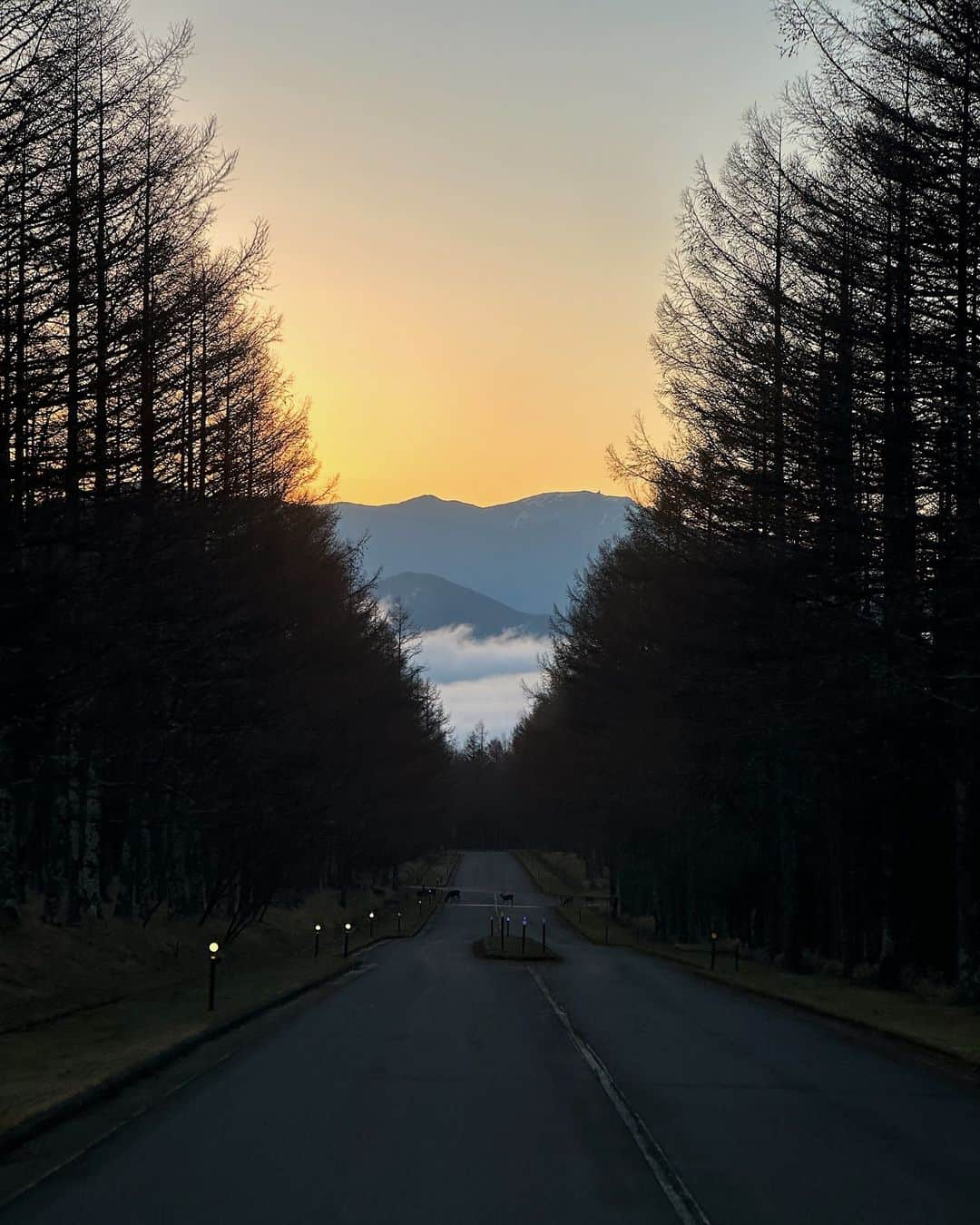 田井中将希のインスタグラム：「雲より上に住んでます。  #あさやけ」