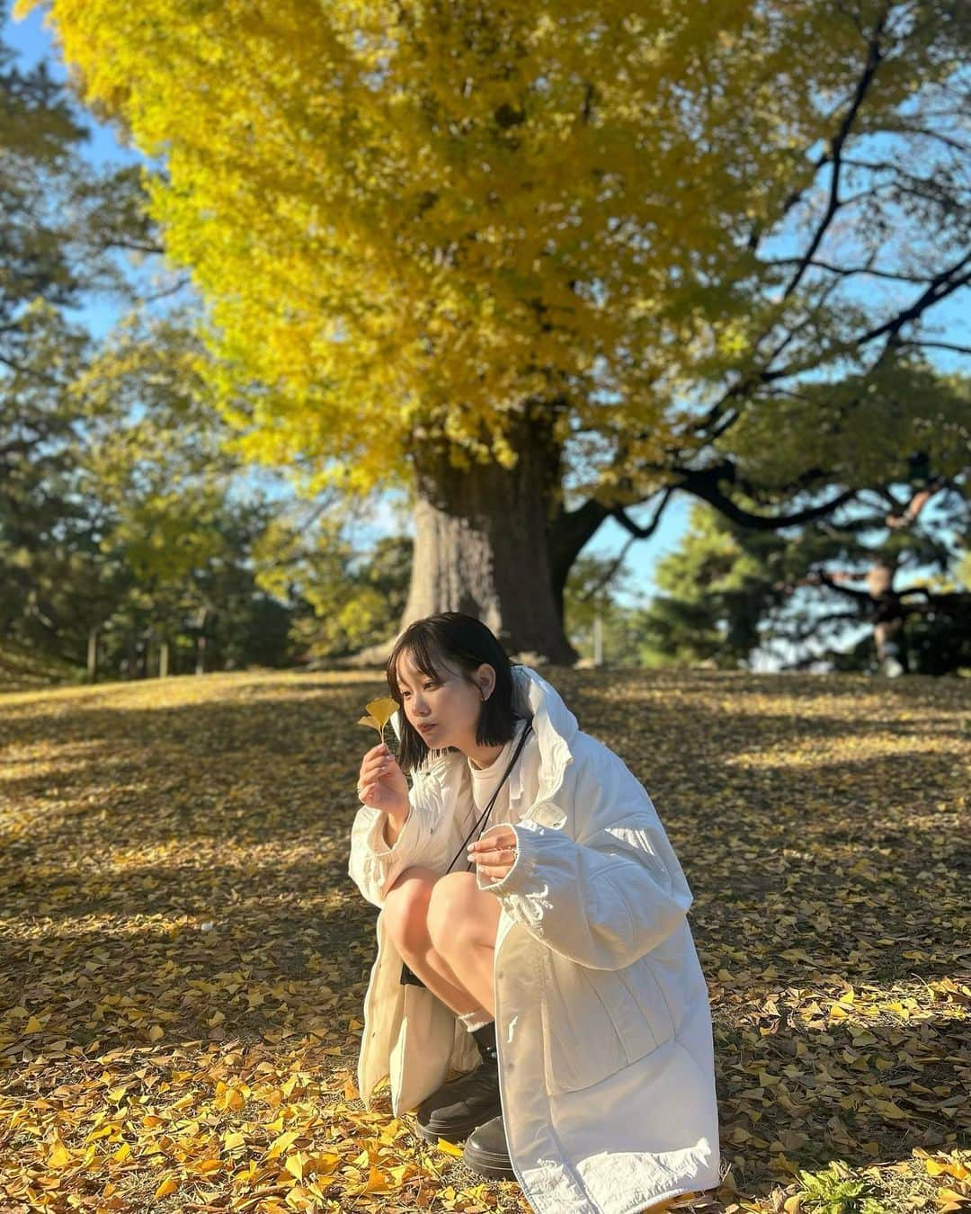 青戸しのさんのインスタグラム写真 - (青戸しのInstagram)「深夜投稿💭  月曜日お疲れ様でした🍁みんなまだ起きてる？」11月27日 23時36分 - aotoshino_02