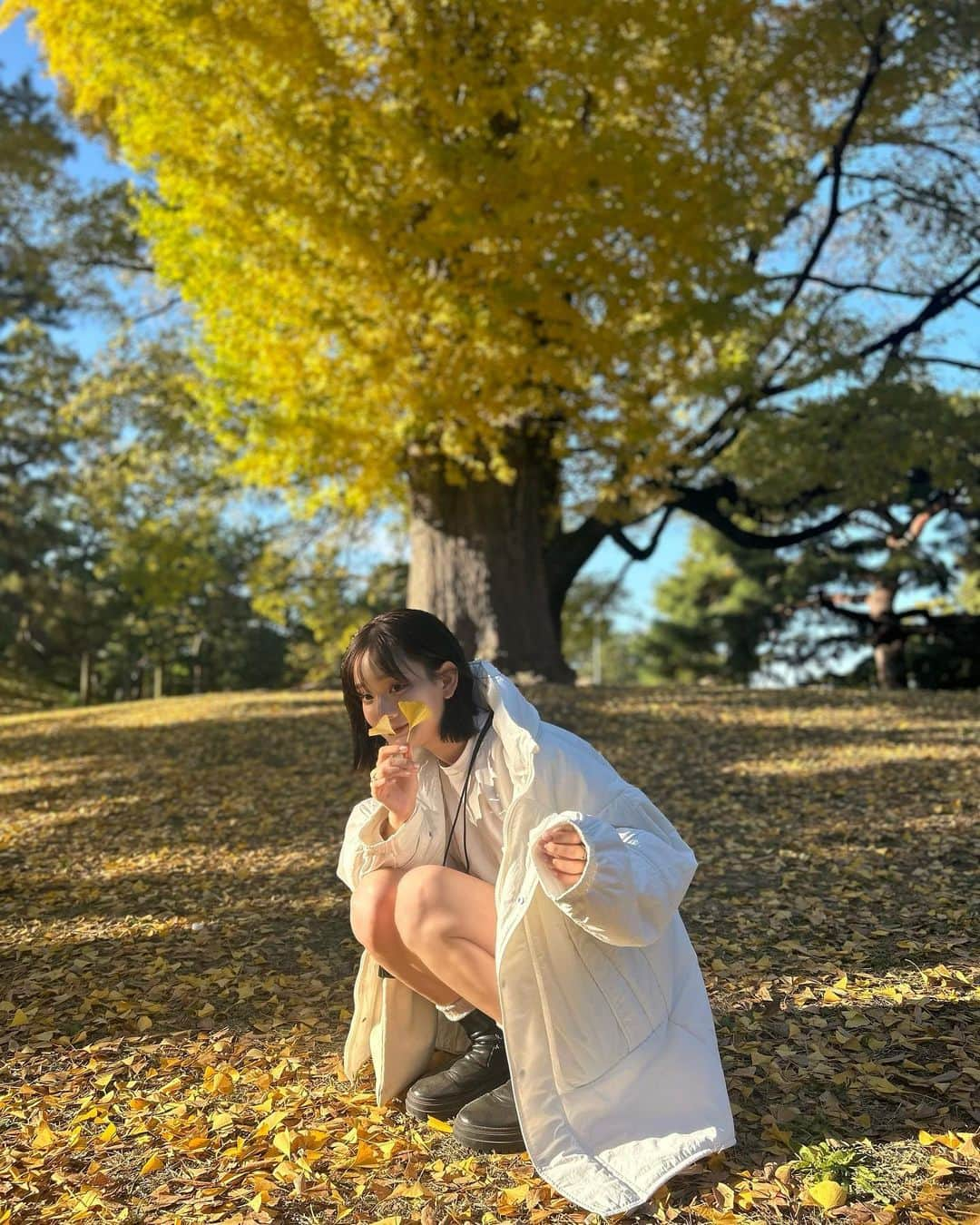 青戸しのさんのインスタグラム写真 - (青戸しのInstagram)「深夜投稿💭  月曜日お疲れ様でした🍁みんなまだ起きてる？」11月27日 23時36分 - aotoshino_02