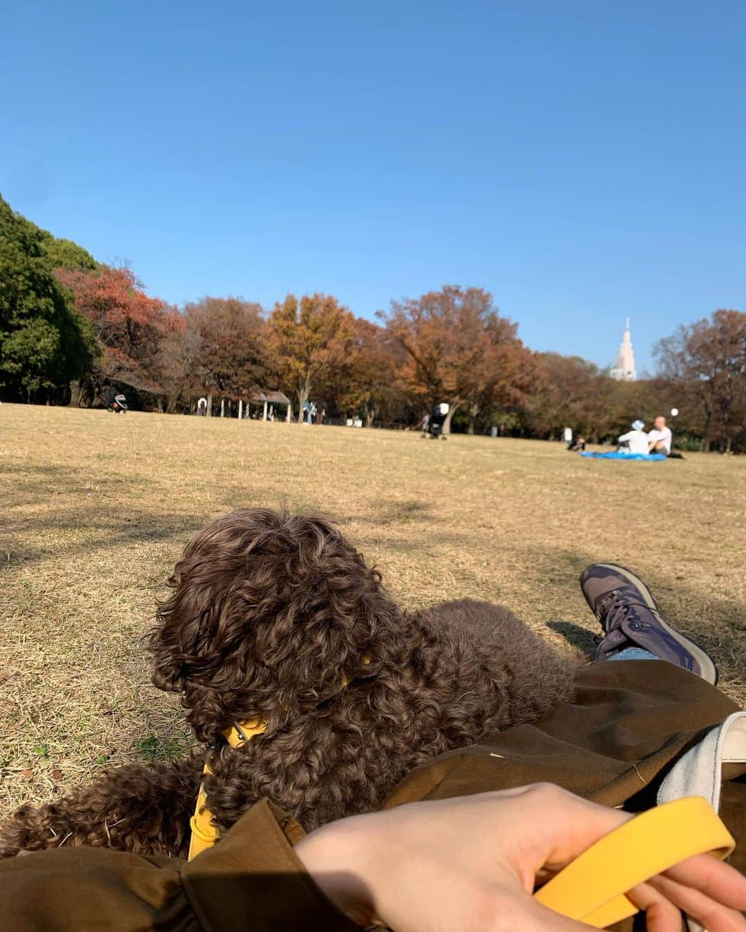 タカハシマイのインスタグラム：「☀️☀️☀️」