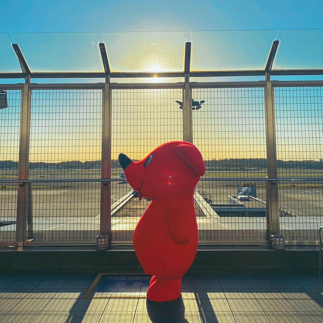 チーバくんのインスタグラム：「チーバくんのおでこにある成田空港に行ってきたよ✈️ この前は遠くから見るだけだったけど今回は展望デッキから飛び立つ飛行機が間近に見られたよ✨ ちょうど夕焼けも綺麗で記念撮影をしたよ📷  #千葉県#千葉#チーバ#chiba#チーバくん#マスコットキャラクター#成田市#成田空港#空港#飛行機」