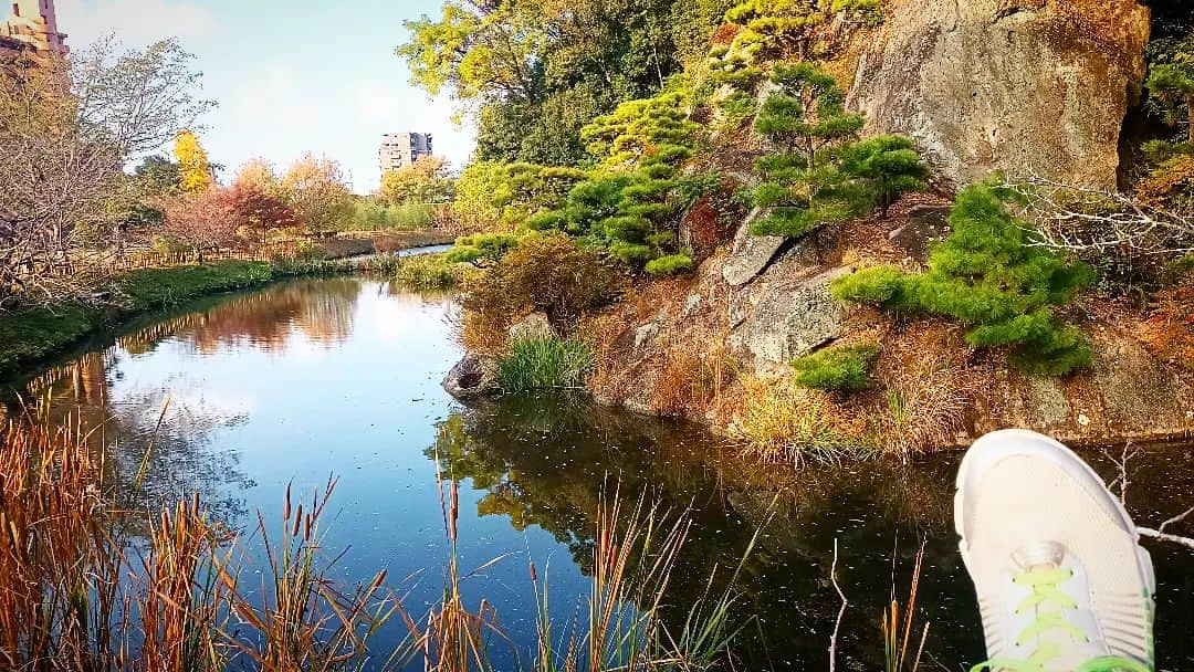 松本隆博さんのインスタグラム写真 - (松本隆博Instagram)「。 雨が止むのを待って道後公園。 雨止んで良かった…と思ったけれど 今、愛媛も四国全域も雨が降らず、 異例の水不足だ💦。。  出来たら夜中に降って欲しい… どこまでいっても人間のエゴだ。 ‪(´•ᴗ• ก )‬՞ ՞  まだまだ半魚人 還暦少年 松本隆博」11月28日 10時07分 - takam0210