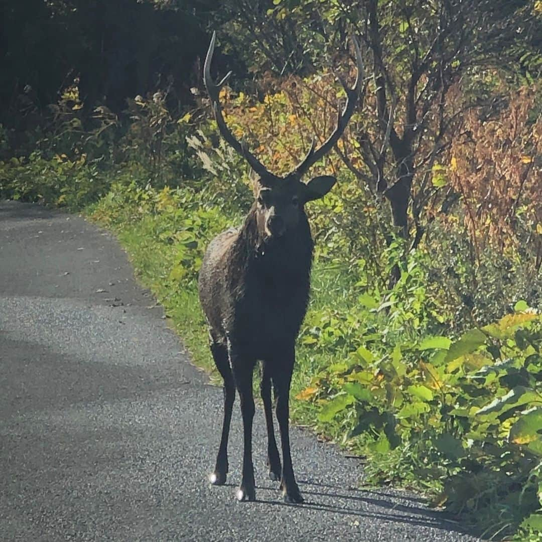 HBC北海道放送アナウンス部のインスタグラム