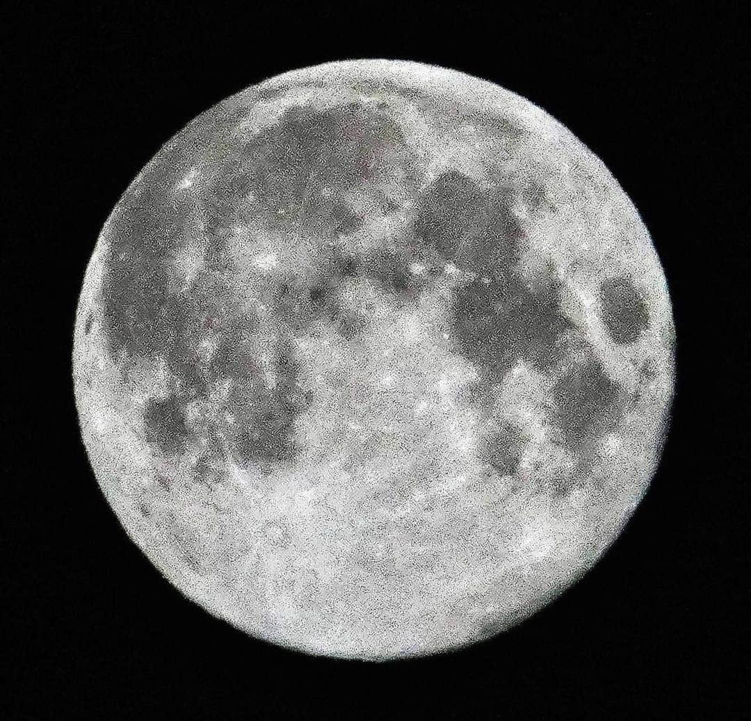 本田雅人さんのインスタグラム写真 - (本田雅人Instagram)「Beaver Moon！ っていうそうです。 ファインダー無くてピンがイマイチなのかまだぼんやり…」11月28日 1時38分 - masato__honda