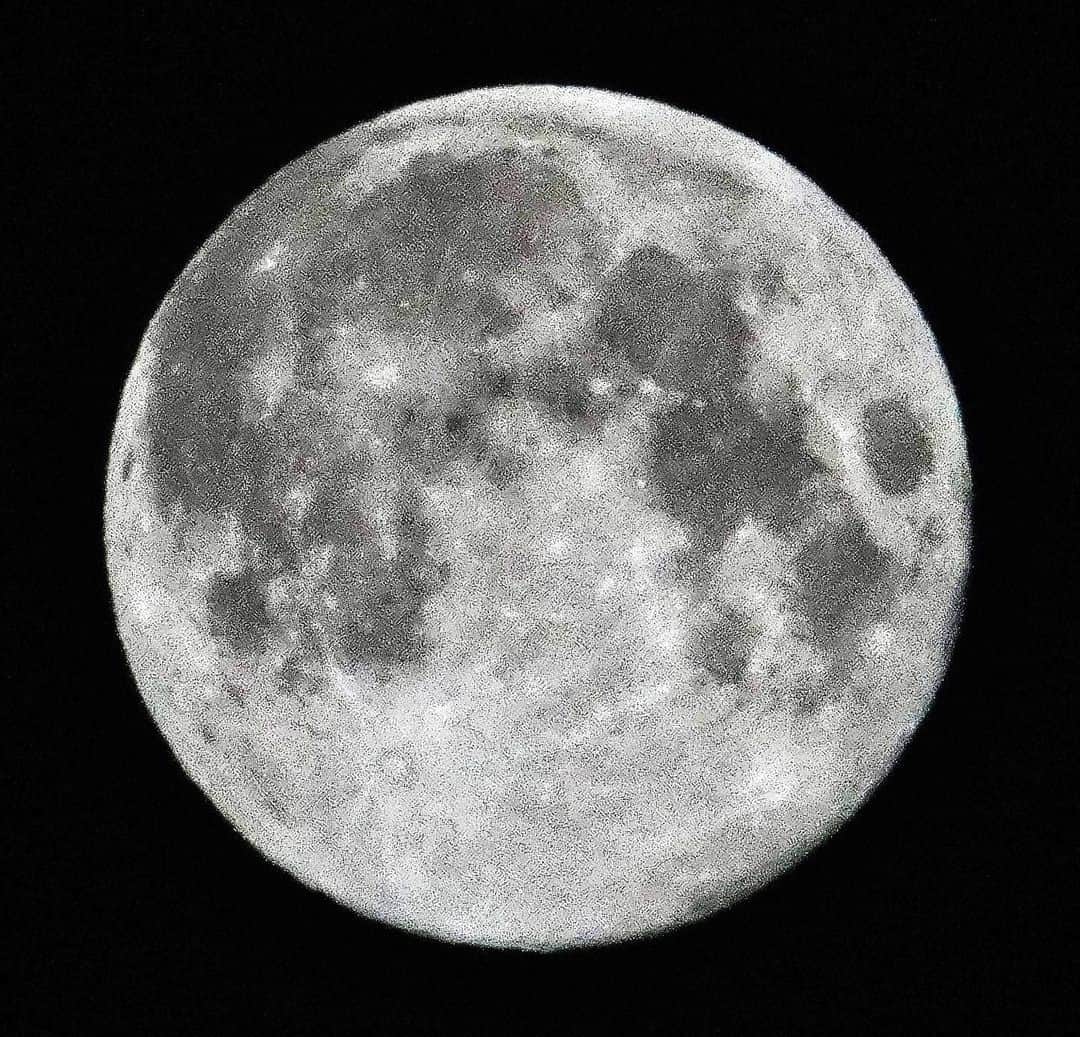 本田雅人のインスタグラム：「Beaver Moon！ っていうそうです。 ファインダー無くてピンがイマイチなのかまだぼんやり…」
