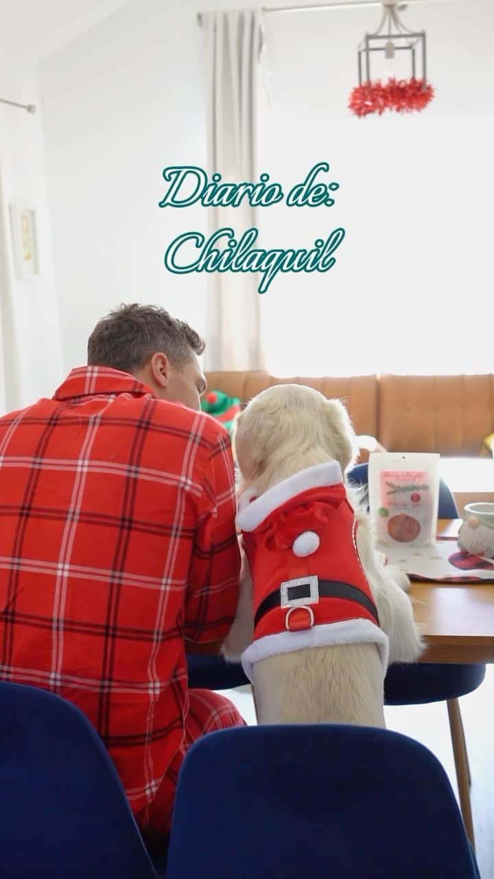 Despierta Americaのインスタグラム：「#Ad ¿Qué escribiría tu mascota en su diario? 🐾 @PetSmart tiene todo lo que necesitas para crear recuerdos felices con tus amigos de cuatro patas 🎁 #AnythingForPets   🎥: @goldenchilaquil」