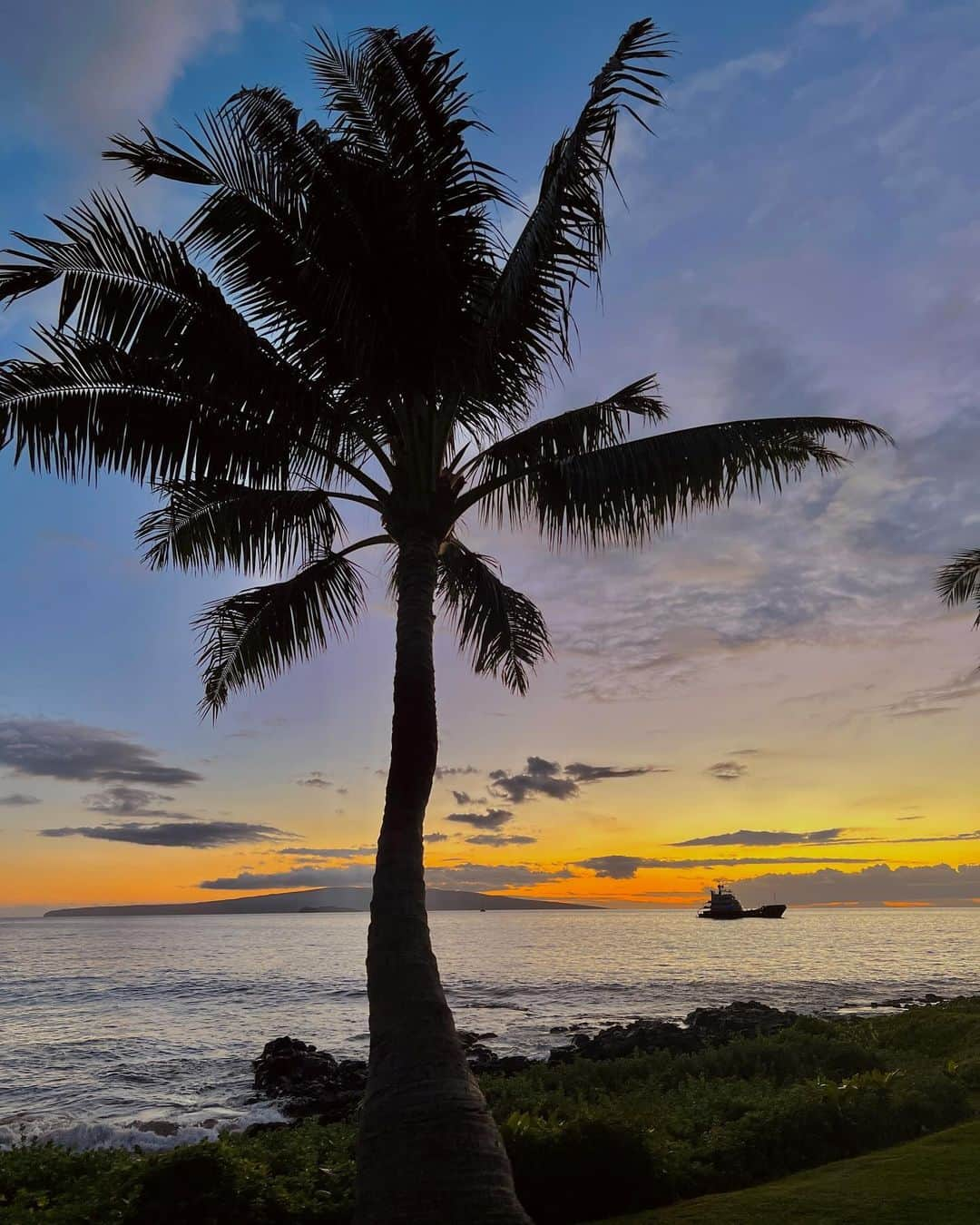 アンドレア・デンバーさんのインスタグラム写真 - (アンドレア・デンバーInstagram)「Life lately #maui #hawaii」11月28日 2時50分 - andreadenver