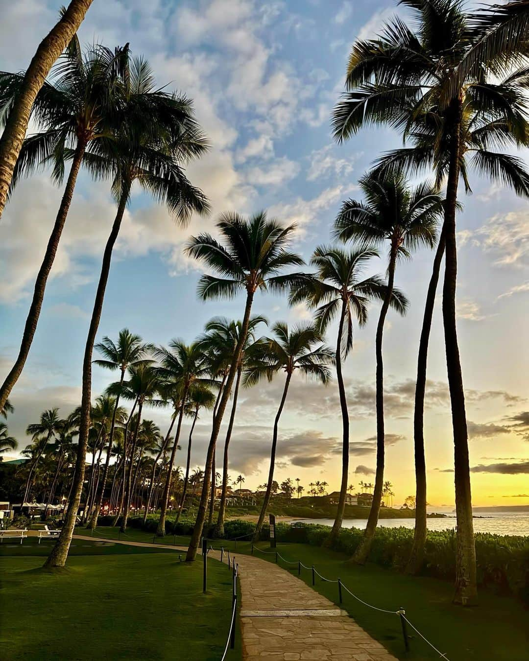 アンドレア・デンバーさんのインスタグラム写真 - (アンドレア・デンバーInstagram)「Life lately #maui #hawaii」11月28日 2時50分 - andreadenver