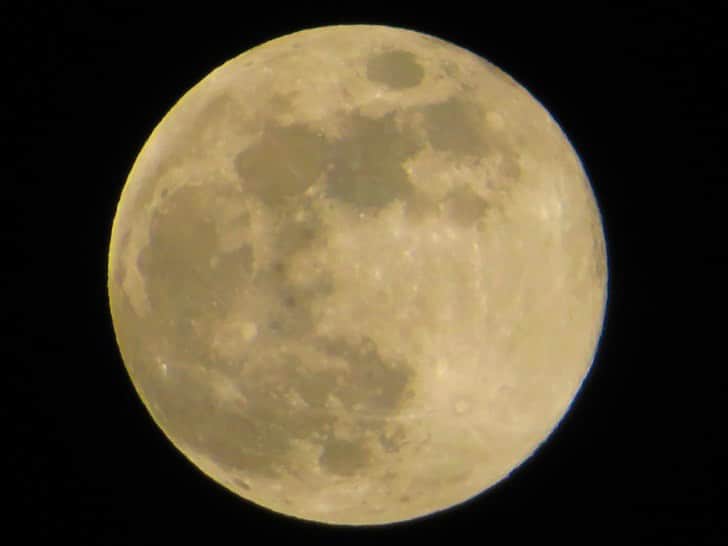 寺川奈津美のインスタグラム：「満月と目が合った夜。 #11月の満月 #ビーバームーン🦫 #と言うんだそうです #よい夜を #ってもうすぐ朝か」