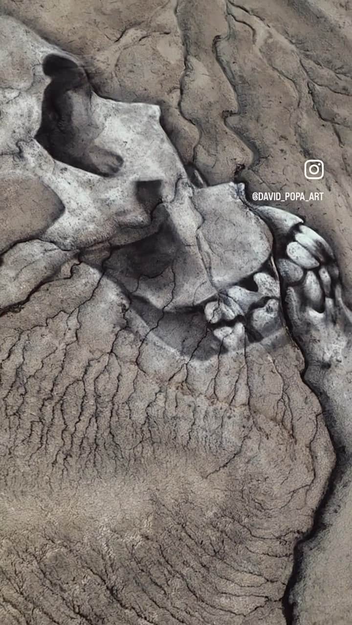 Art Collective Magazineのインスタグラム：「If you’re not following @david_popa_art than you are missing unbelievable giant works of art using completely earth safe material.  This is just amazing🤯🤯🤯 • #artnerd #artcollective #supportart #amazing」