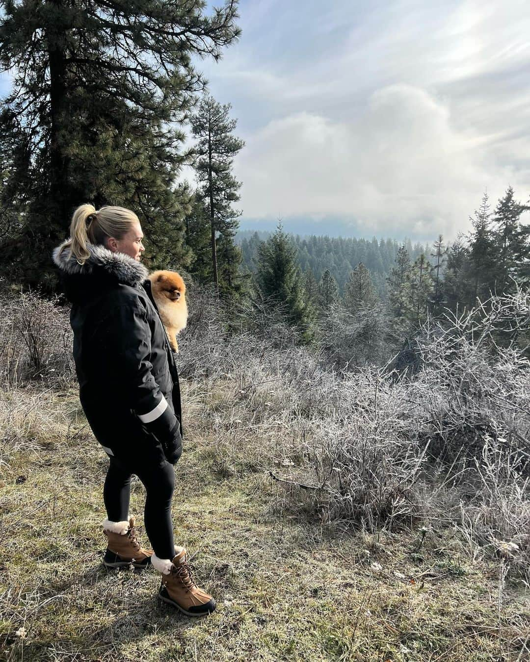 Katrin Tanja Davidsdottirのインスタグラム：「monday morning hikes with my boys have become my favorite 🫶🏼❄️🐾」