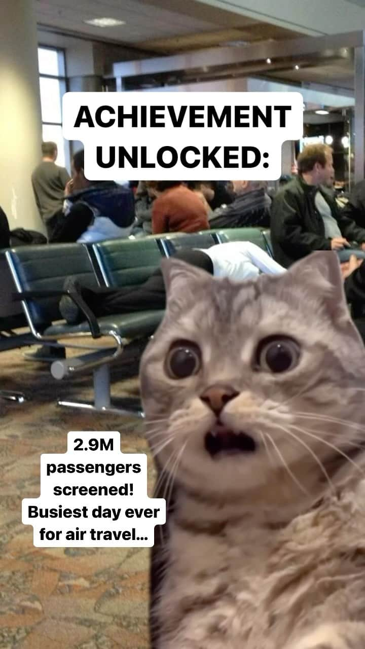 アメリカ運輸保安局のインスタグラム：「We aren’t kitten…  People didn’t stray away from airports this past holiday weekend. We’re paws-itive we’ll continue to see large volumes of passengers for the remainder of the year. Purr-haps you don’t need this reminder, but it’s best to continue to arrive at the airport early.  Looking for more 4-legged content with less cattitude? Well, fur-tunately you came to the right place! Please paw-don us as we celebrate the latest installment of TSA’s Cutest Canine Calendar. There’s nothing ruff about it being free and downloadable through our bio and stories now.  #CatMemes #Cats #Pawsome #Whiskers #🐱 #🐈」