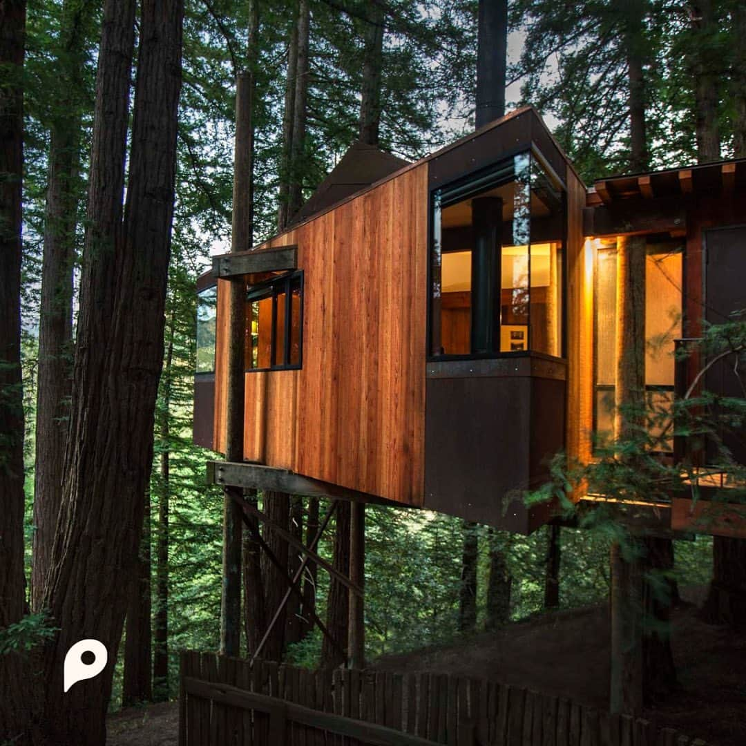 PicLab™ Sayingsのインスタグラム：「Tis the season to cozy up in one of these unbelievable treehouses! 🌲 🏠 It’s impossible to choose the best one, so we’ve rounded up our top five favorite treehouses at the link in our bio. Which one is your favorite, 1-5?   1. Post Ranch Inn Treehouse in Big Sur, California 2. Treeframe Cabin in Index, Washington 3. Little Red Treehouse in Lyons, Colorado 4. Glamping Treehouse in Santa Cruz, California  5. Wanderlust at Firefly Treehouses in Crane Hill, Alabama」