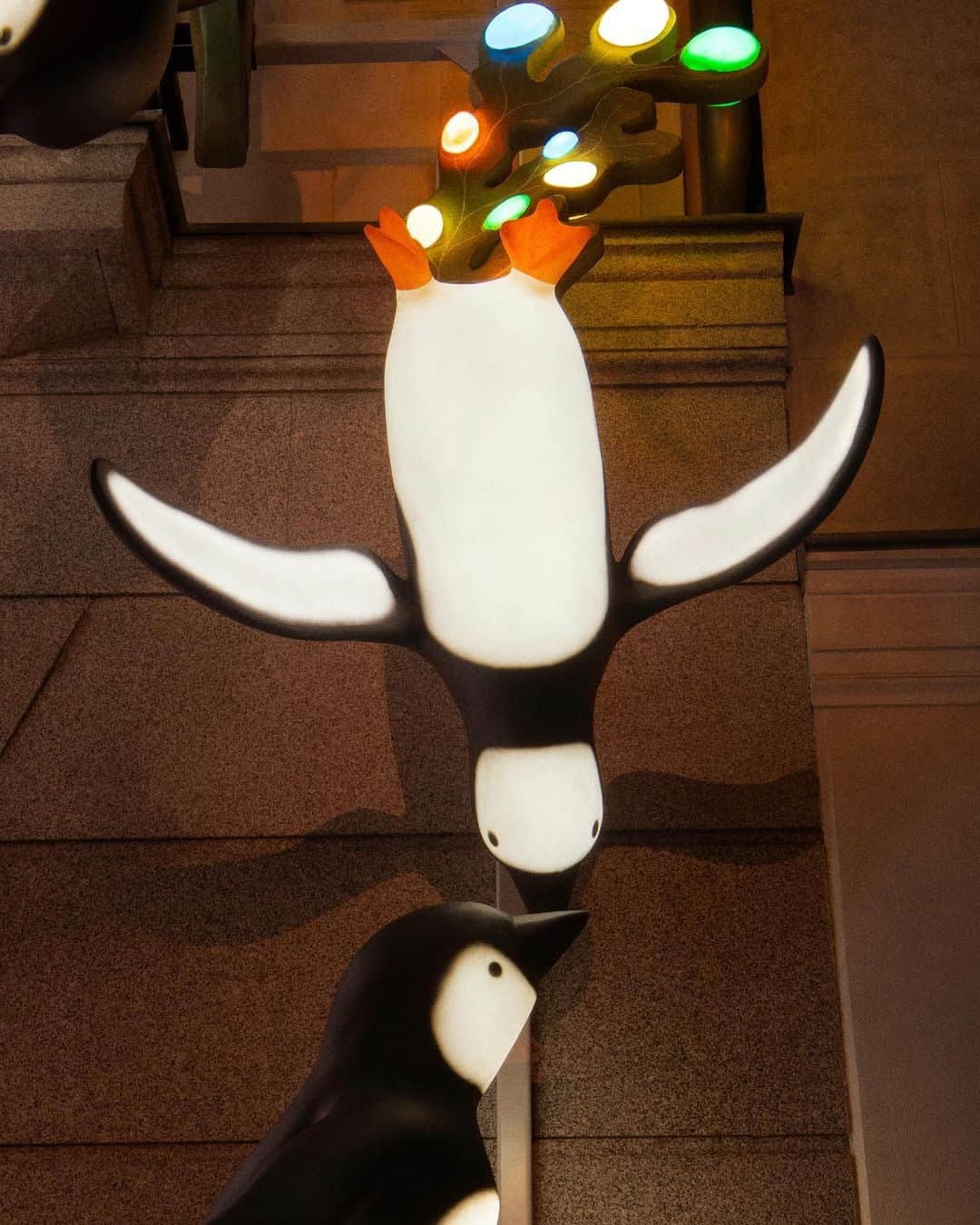 Loeweさんのインスタグラム写真 - (LoeweInstagram)「Wrap up and visit our festive windows at CASA LOEWE Madrid covered in Suna Fujita's joyful penguins.  #LOEWE #LOEWEgifts」11月28日 5時02分 - loewe