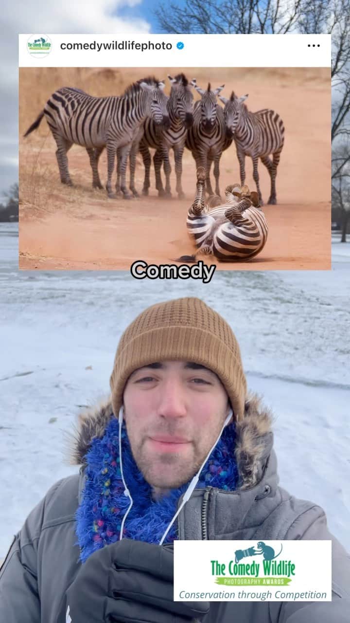 Jacob Simonのインスタグラム：「Happy Monday :) Tell us your thoughts & opinions on today’s stories in a comment!  📰: - Comedy Wildlife Photos Awards came out - EU is mostly banning the export of plastic waste to poor countries - Sylvia Earle is an ocean icon working on “hope spots” - A test flight using only sustainable aviation fuel (SAF)  🌍🌎🌏 Today, you can keep the good going by urging NYC Mayor Adam’s to keep the amazing community composting sites around the city. More info on my page.   #forthefirstandonlytime #november27 #goodnews #freshair #comedywildlifephotos  ℹ️Stories on climativity.com every Friday, 🎶Music by Tristan Arostegui & Hunter Hanson.」
