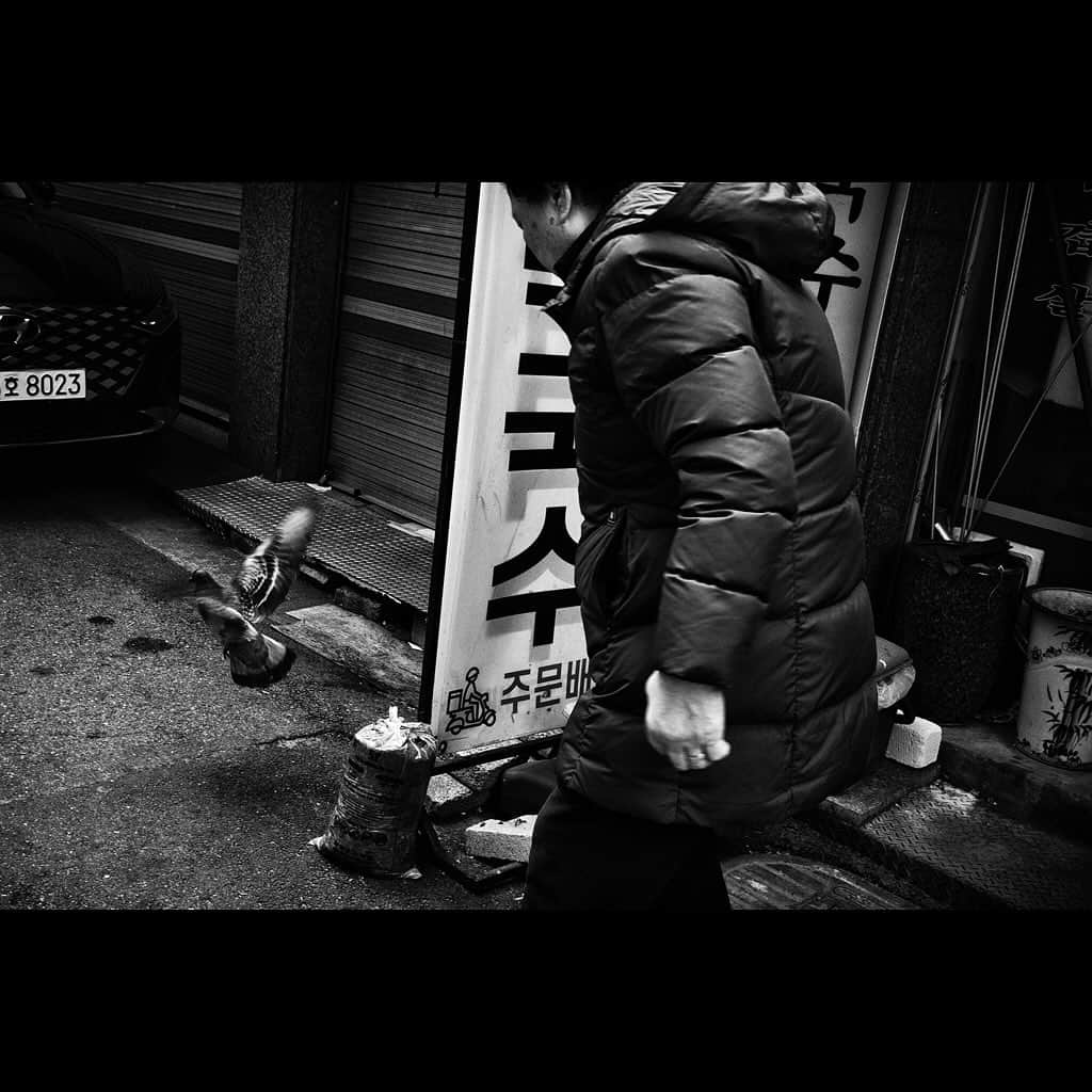 Tatsuo Suzukiさんのインスタグラム写真 - (Tatsuo SuzukiInstagram)「Seoul, South Korea」11月28日 5時49分 - tatsuo_suzuki_001