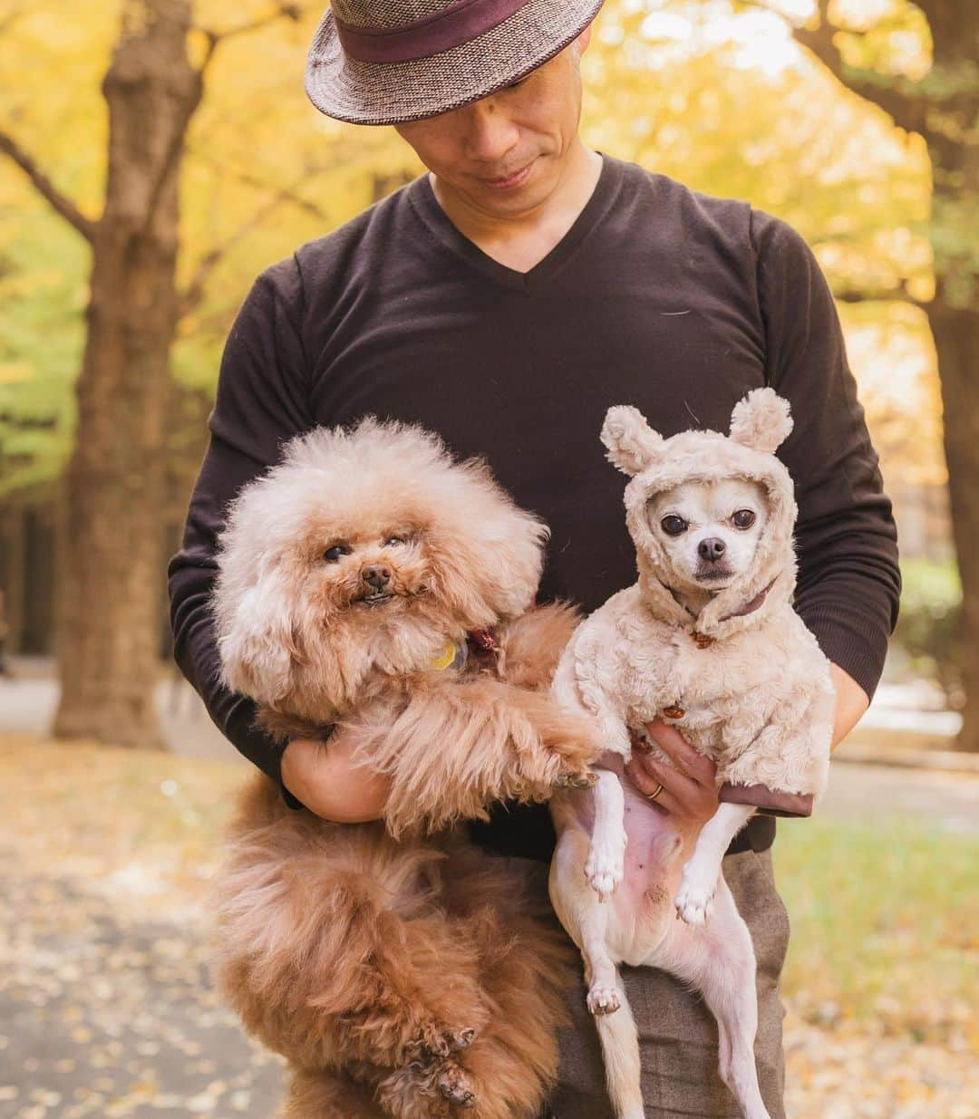 紋次郎さんのインスタグラム写真 - (紋次郎Instagram)「撮影中ずっといい子にしててくれたきったん 可愛いかったー！ この距離、なかなか珍しい！  @mucciandlove  Photo @mieco0526   #dog#dogstagram#instadog#chihuahua#barkbox#mydogiscutest#buzzfeed#dog_features#fluffypack#barkpack#dogsofinstagram#犬#チワワ#手作り#handmade#着物#fashion#紋次郎一家#チーム茶#ふわもこ部#igersjp#peco犬部#dogfashion #whisky」11月28日 7時04分 - montjiro