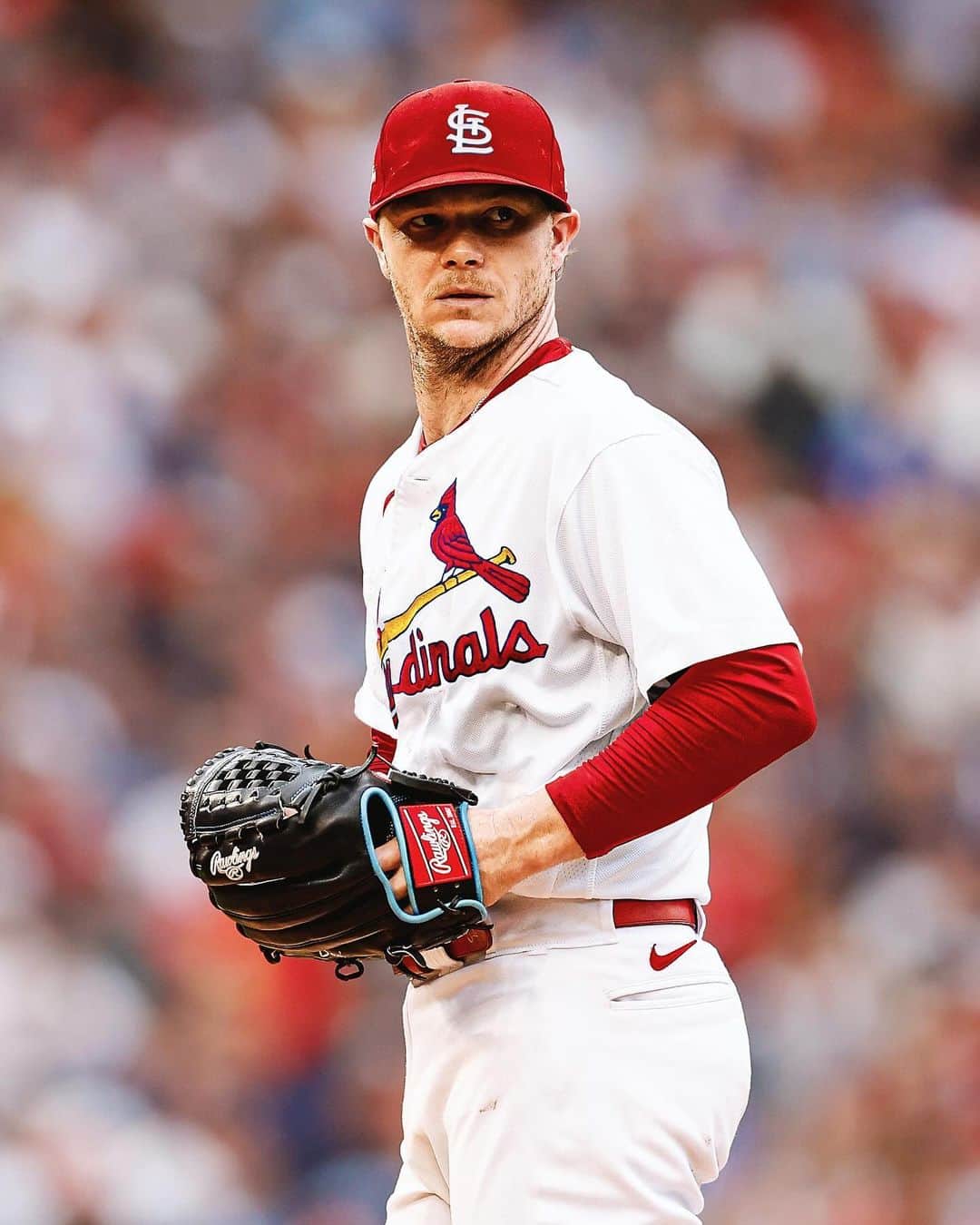MLBのインスタグラム：「Things are looking Sonny in St. Louis 😉  The RHP has officially signed with the @Cardinals.」