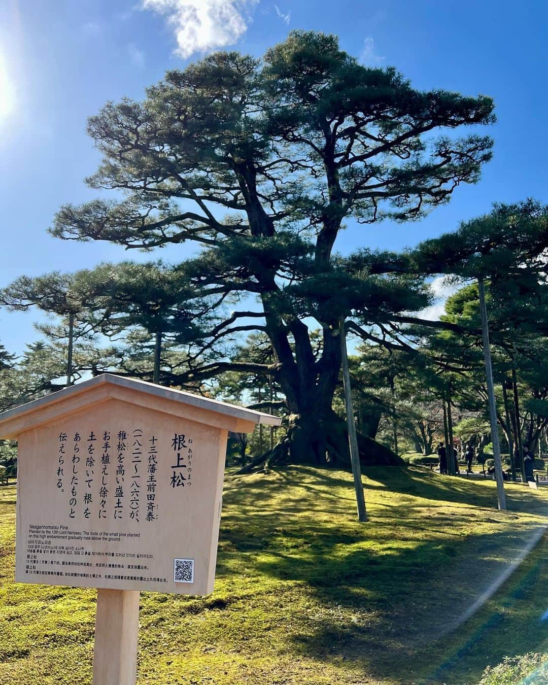 高倉絵理さんのインスタグラム写真 - (高倉絵理Instagram)「楽しかった金沢旅行④  日本三名園の一つに数えられる廻遊式の庭園『兼六園』へ。  広大な園内には築山、池、茶屋などが点在しており、四季を通じてさまざまな自然美を堪能できるそう。  今の時期は、金沢の冬の風物詩”雪吊り”が。 “雪吊り”は、日本海側特有の湿った雪の重みで枝が折れないようにするため。  美しい庭園に別の季節にもまた訪れたくなりました。  #金沢旅行 #金沢観光 #兼六園 #雪吊り #金沢 #kanazawa」11月28日 7時55分 - eri_t28