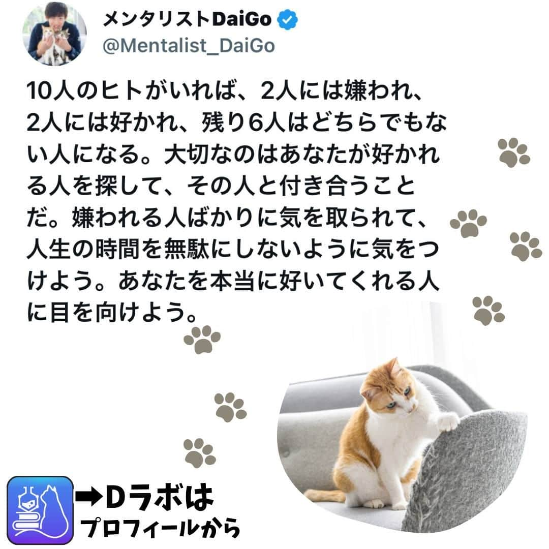 メンタリストDaiGoのインスタグラム：「🐈本日の名言📚 プロフィールからDラボもみてね  #心理学 #メンタリスト #dラボ  #dラボはプロフィールから」