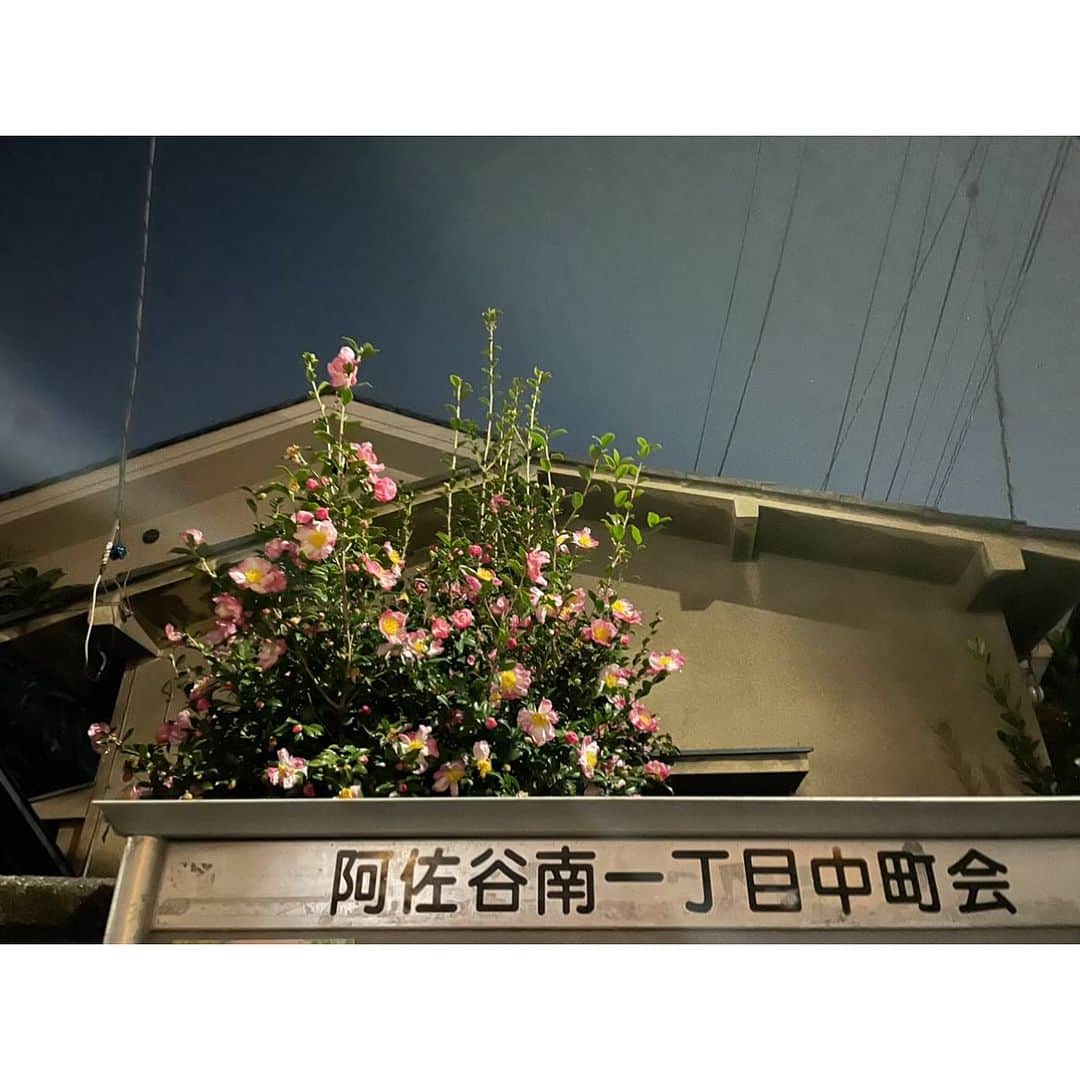 のインスタグラム：「・ 加地学・清水しおり　陶展 context_s tokyo asagaya  札幌在住のお二人の展示 薪・石炭・ガス窯とそれぞれの 釉薬と技法での器は力強かった  本日最終日」