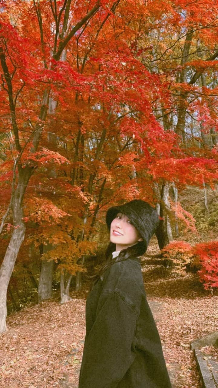 荒山みなみのインスタグラム：「これでもかってくらい赤かったや🍁」