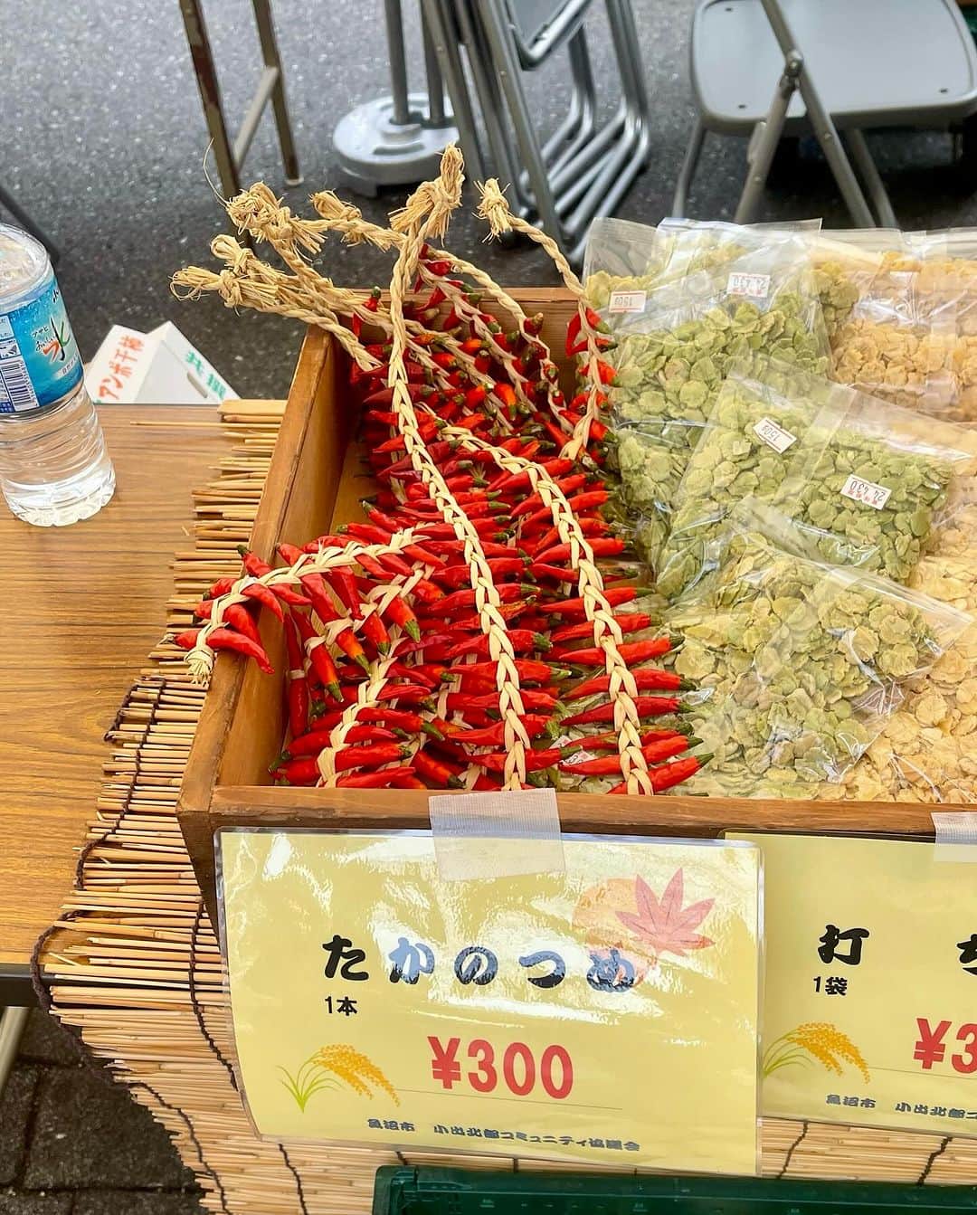 Areum Jungさんのインスタグラム写真 - (Areum JungInstagram)「Beside Komagome station 🇯🇵cute Market ❤️  화장 안 하고 맞이하는 아침은 즐겁다. 고마고메역 옆에 장섰음!!   채소도 귀엽고 ❤️핑크색 옷입은 할아버지들이 스태프😎  미니 당고 구입💪🏼먹는 것은 너희가 먹어라~~~ㅋㅋㅋ  #tokyo #일본여행」11月28日 8時35分 - areumjung