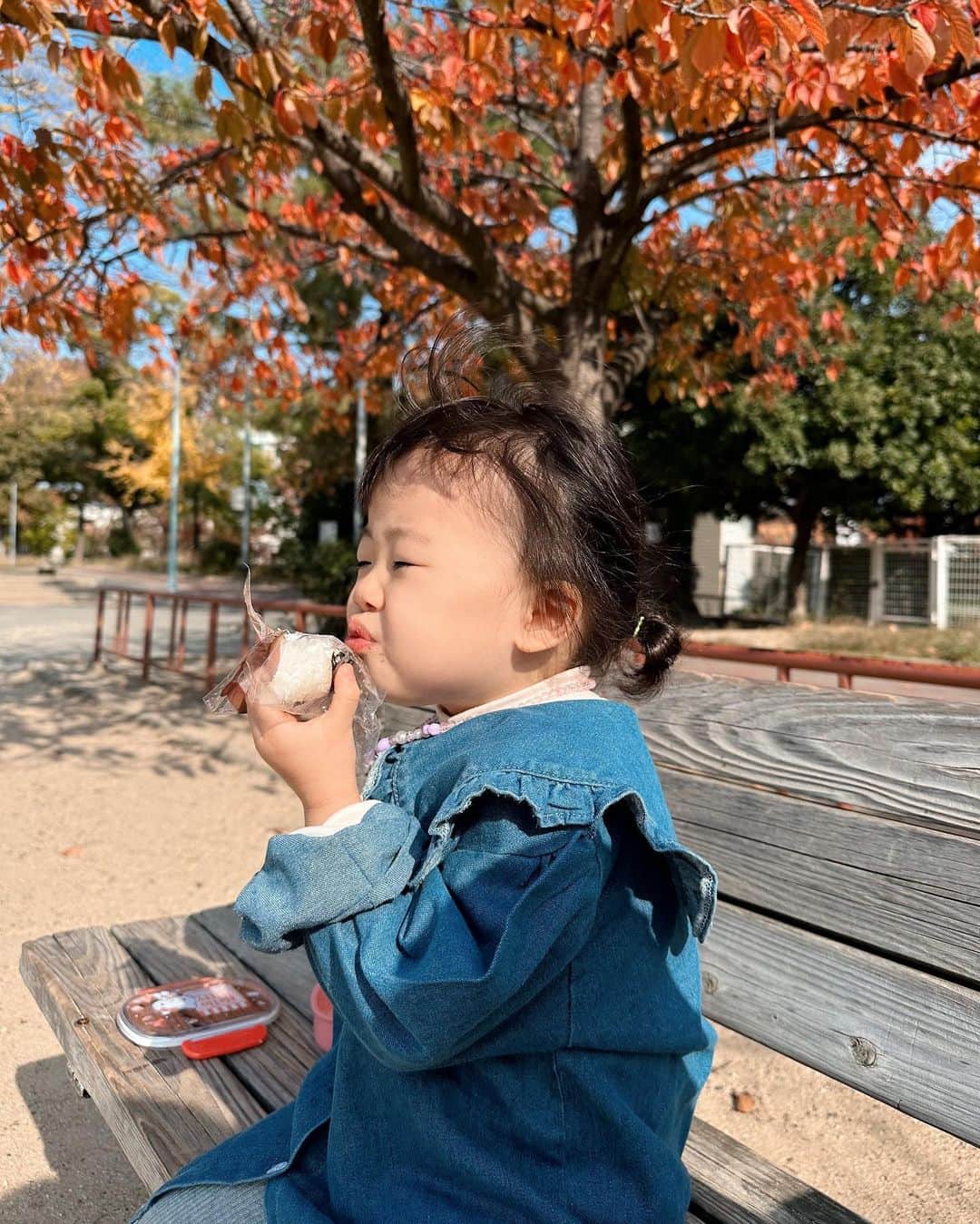 松原加奈恵さんのインスタグラム写真 - (松原加奈恵Instagram)「🍁🍙🚃🫶🏻 公園でおにぎり食べてるだけなのに ここは京都かと勘違いするほど 風情が感じられる写真、撮れました。  #紅葉#ピクニック#2歳10ヶ月#おにぎり」11月28日 8時40分 - piiiiiiico