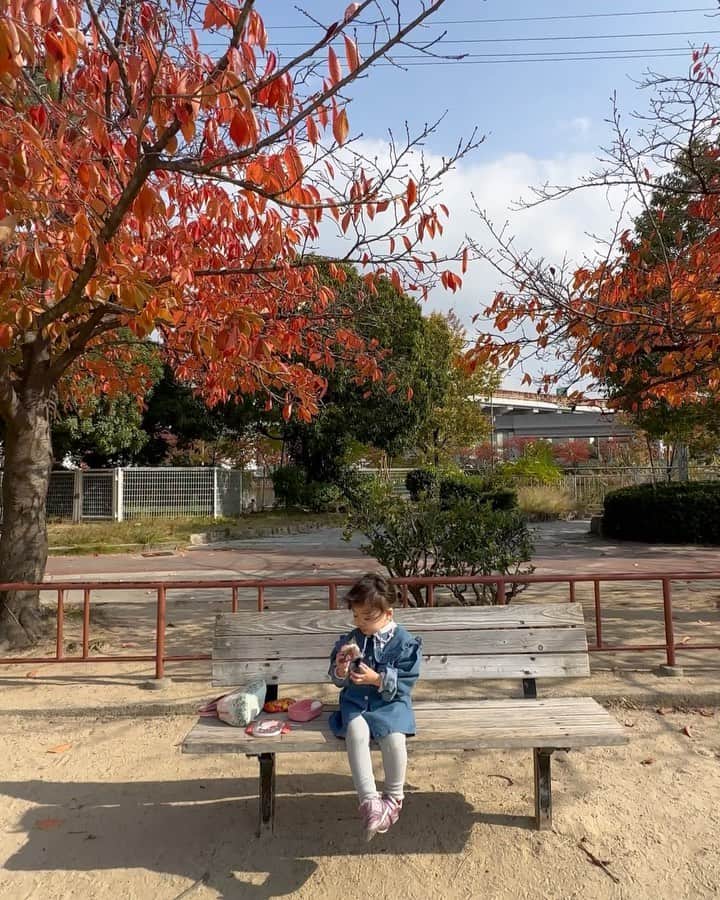 松原加奈恵のインスタグラム：「🍁🍙🚃🫶🏻 公園でおにぎり食べてるだけなのに ここは京都かと勘違いするほど 風情が感じられる写真、撮れました。  #紅葉#ピクニック#2歳10ヶ月#おにぎり」