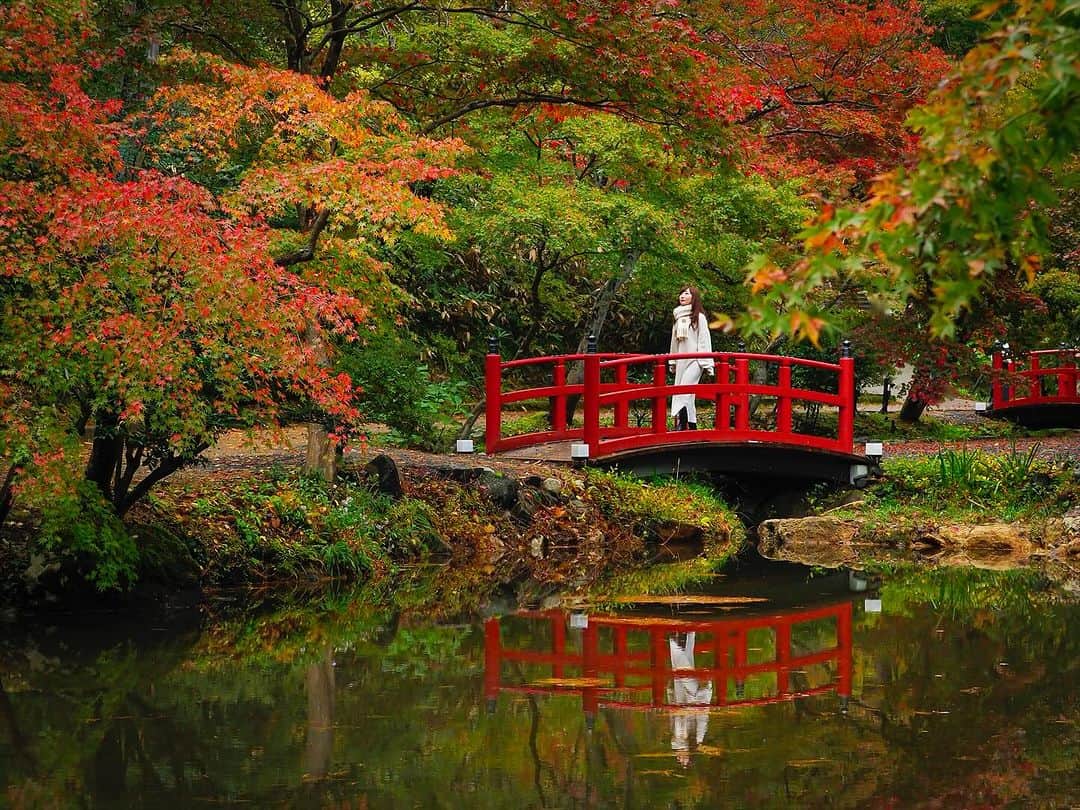 くーまんのインスタグラム：「紅葉の始まり  例年より遅い紅葉で まだ色づきがようやく始まった頃  見頃はもう少し先だったけれど お久しぶりに会ったありさちゃんと朝活できて めちゃ楽しかった！ どうもありがとう！！！  偶然お会いした初めましてのタカさん 楽しい時間をありがとうございました！  thx. @cherish3150」