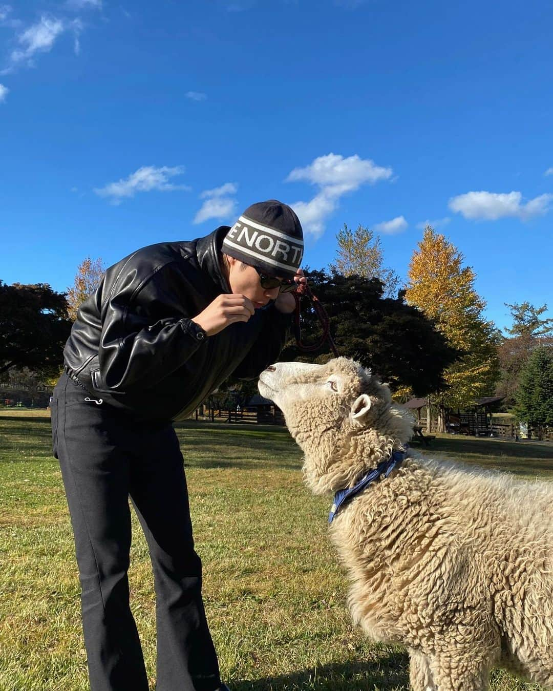 松井利樹さんのインスタグラム写真 - (松井利樹Instagram)「かわいいすぎるWhen I go to see him, he is always eating grass🌱🐑🤍」11月28日 18時24分 - rikimatsui.official