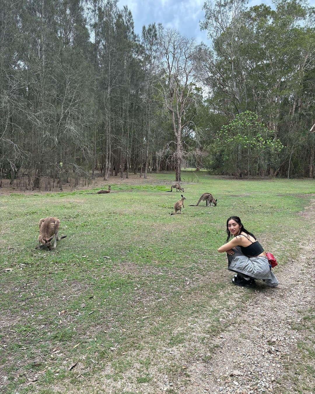 中田クルミさんのインスタグラム写真 - (中田クルミInstagram)「wild kangaroos🦘 #kangaroo」11月28日 18時41分 - kurumi_nakata