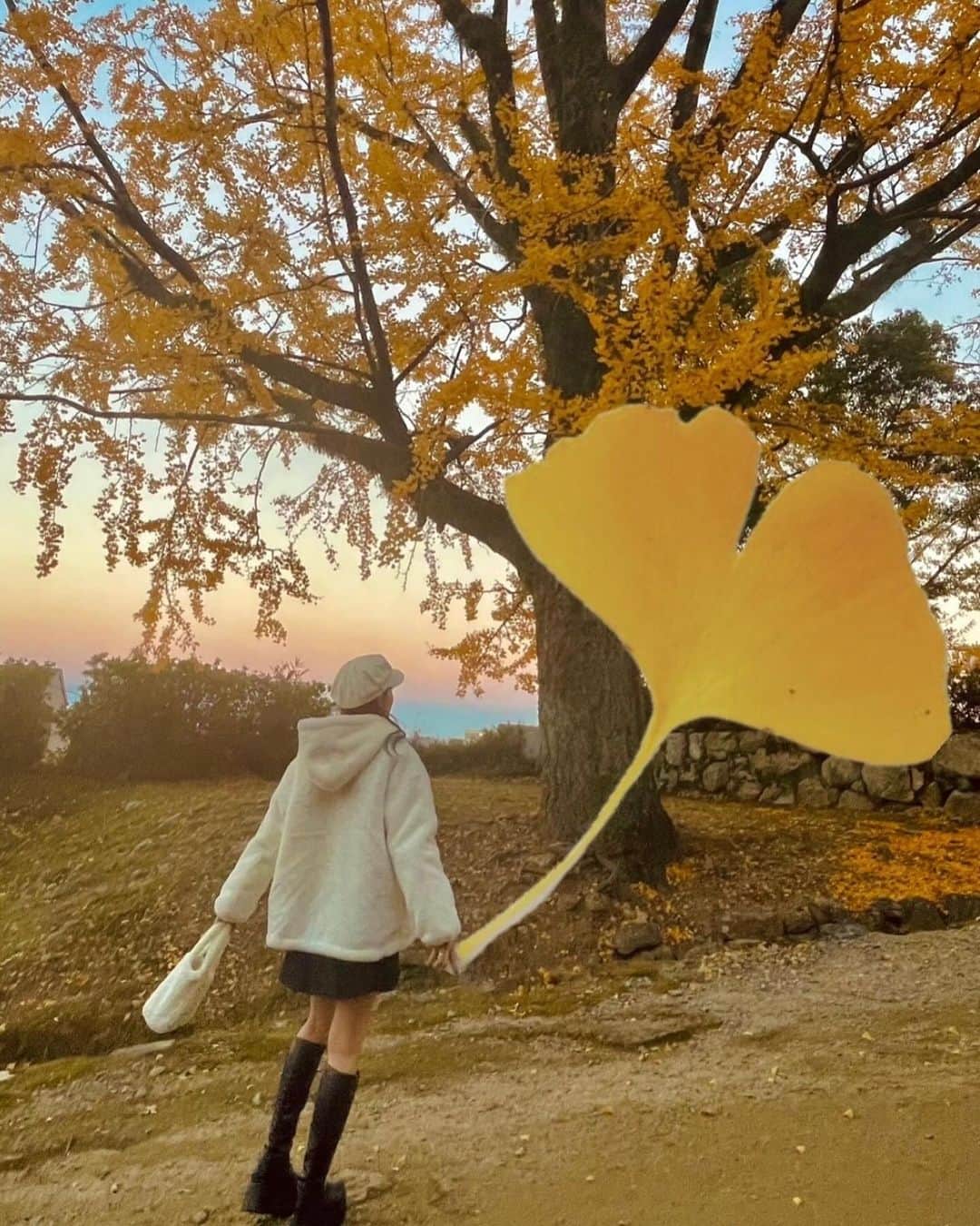 前川琳菜（りなち）のインスタグラム：「✩‧₊˚  1枚目のこれ韓国で流行ってるらしい🍁笑 夕方行ってよかった☺️景色綺麗すぎたぁ〜✨  #여행스타그램 #풍경 #단풍샷 #紅葉 #紅葉スポット #紅葉見頃 #イチョウ #イチョウの木 #いちょう #いちょうの木 #銀杏 #松坂城跡 #夕日 #えもいんすたぐらむ #りなちこーで」