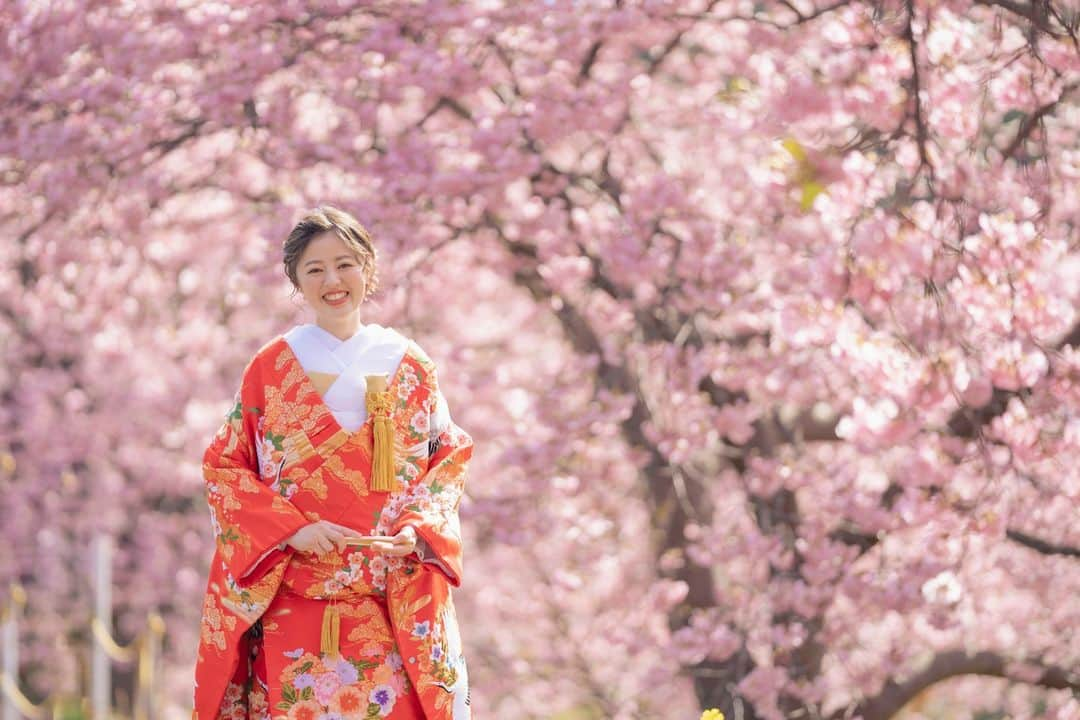 スタジオアクア富士店 のインスタグラム：「圧巻の河津桜！ 菜の花、桜、レトロな街並み、海・・・。  2月の下田は撮影できる場所が盛りだくさん！ 新しいロケ地も探索中！  2月1日より予約受付中です！ 金目鯛の美味しい下田に遊びに来てください！  #撮る結婚式 @studioaqua_fuji @studioaqua_omiya @studioaqua.shinjuku @studioaqua_shibuya @studioaqua_yokohama @studioaqua_tachikawa229 @studioaqua_asakusa @studiosola_hokkaido @decollte_wedding @decollte_weddingphoto @d_weddingphoto_jp #河津桜 #和装前撮り #洋装前撮り #菜の花畑 #海前撮り #ロケーションフォトウェディング #ブライダルフォト #前撮り #ウェディング #花嫁diy #プレ花嫁 #結婚式準備 #結婚写真 #チェリフォト #preweddingphoto #2023冬婚 #2024春婚 #カップルフォト倶楽部 #何気ない瞬間を残したい #ナチュラルウェディング #mywedding #カップルフォト #結婚」