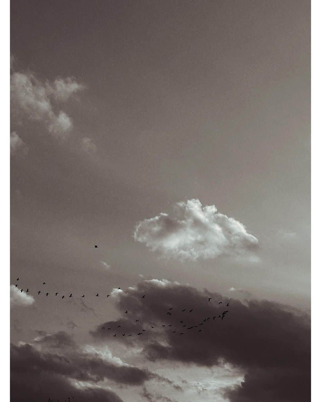 ソン・ファミンさんのインスタグラム写真 - (ソン・ファミンInstagram)「👁️」11月28日 19時18分 - hwa.min