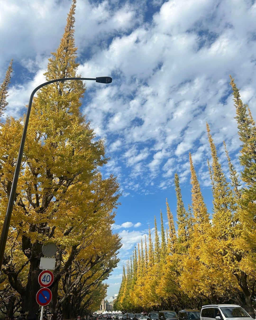 美舞さんのインスタグラム写真 - (美舞Instagram)「. . 大好きな人と見た紅葉🍁♡ . #四季　#紅葉　#日本の風景 #京都　#東京　#足元倶楽部」11月28日 19時34分 - mibuki__.39