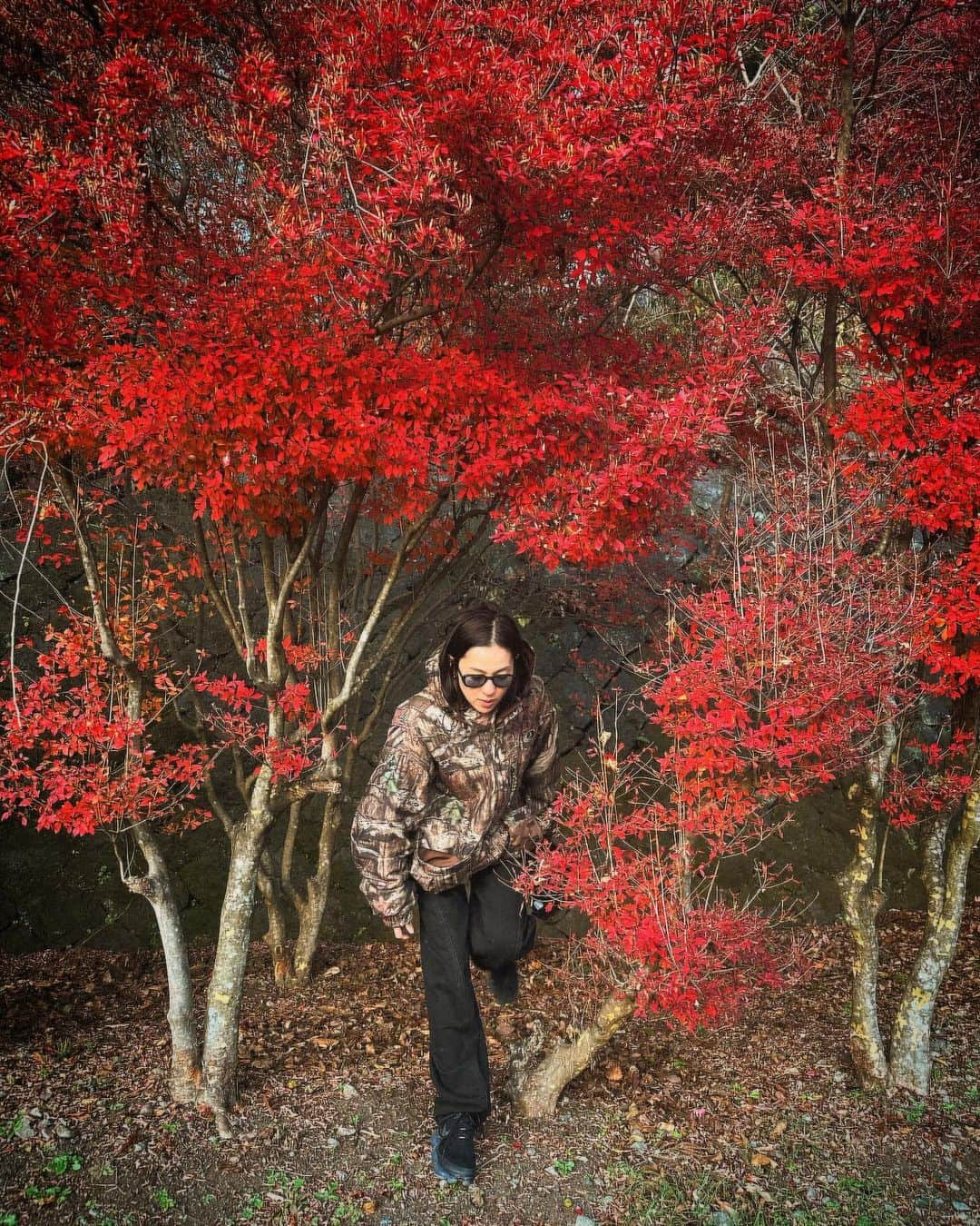 中村アンさんのインスタグラム写真 - (中村アンInstagram)「🍁🟥🍂❤️🦊」11月28日 19時40分 - cocoannne