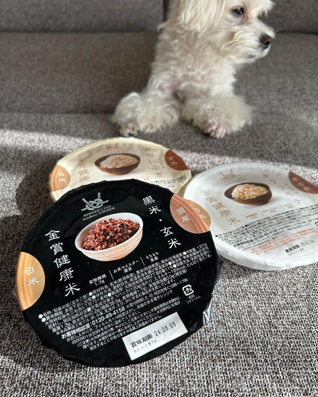 中野優香さんのインスタグラム写真 - (中野優香Instagram)「みんなお米食べてる？？🍚😊  ダイエットでお米を抜いたり、その逆でお米はしっかり食べなきゃと義務感で食べたり… これまで私も"炭水化物"というものに振り回されてきました🫠 でも食べたい時に食べていい🍚🙆 お米が食べたいならその時が食べる時！最近はそんなマインドになれてる！  玄米は大好きなんだけど炊くのがめんどくさかったり固くなっちゃったり😅 そんな私みたいなめんどくさがりにおすすめなのが金賞の一膳　金賞健康米！🌾  玄米や黒米、もち麦が手軽に食べられる！ レンジのみでふんわり柔らかい玄米が食べられるの最高😭 一食120グラムと食べ切りにちょうどいい量なのも嬉しい☺️  お米って美味しくて過食癖のある私は一気に炊くと全部食べちゃう😅だから食べ切りサイズってほんとに嬉しい🥹  #金賞の一膳#金賞健康米#玄米#黒米#もち麦#白米#お米#お米生活#お米大好き#過食改善#食事改善#モニター#金賞健康米パックライス#パックライス#amazon#アマゾン#ブラックフライデー#アマゾンプライム」11月28日 19時44分 - yuuka._.nakano